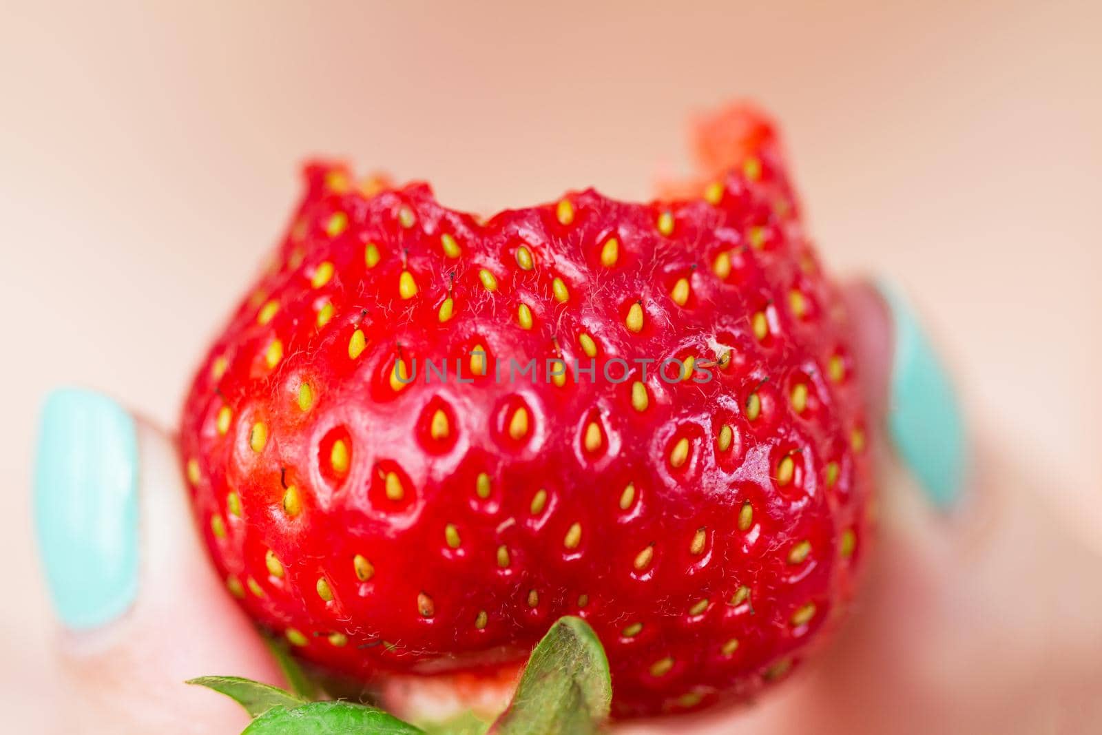 Woman holding fresh ripe strawberry in fingers. Selective focus