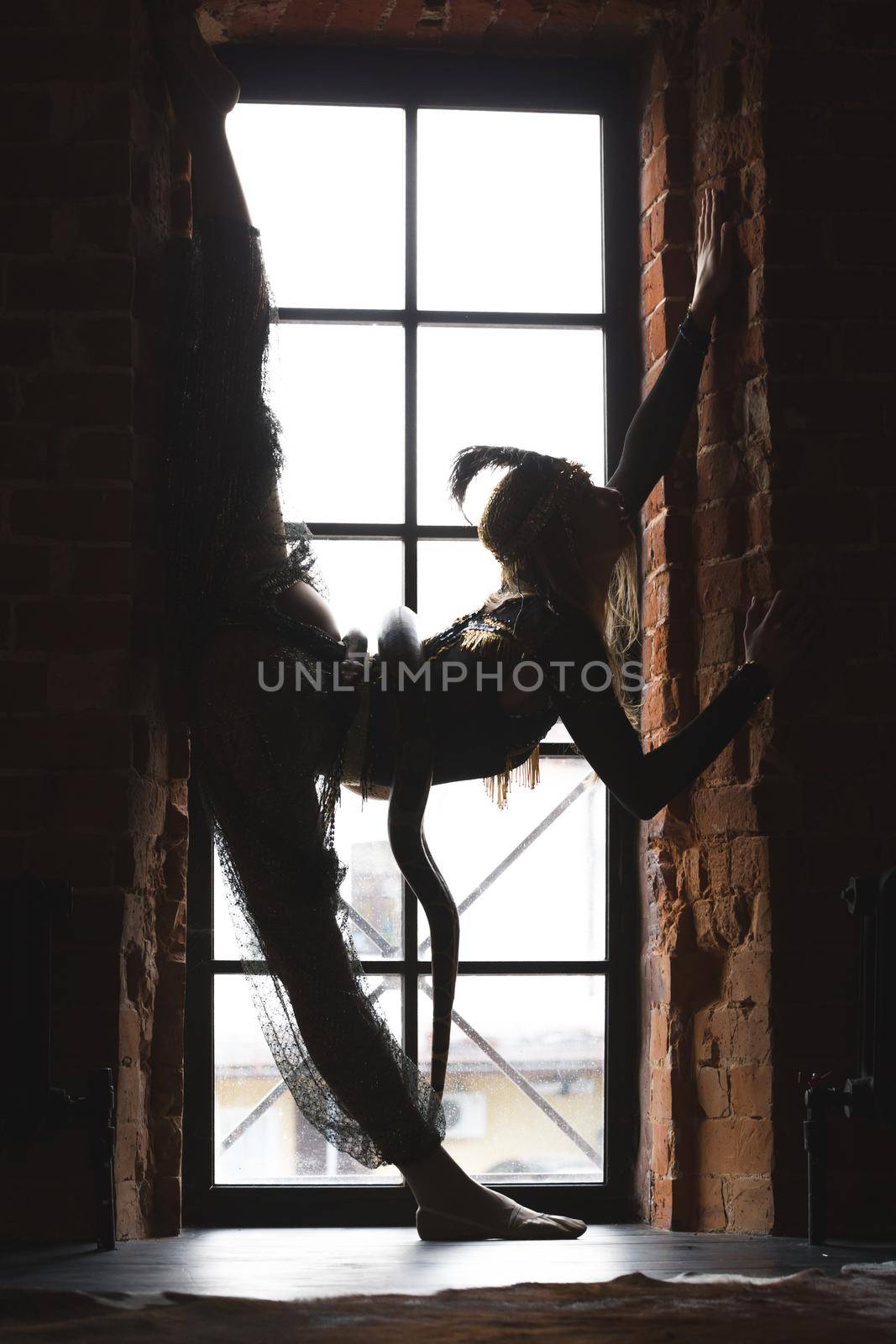 Slim female silhouette performing dance with a snake in front of window by Studia72