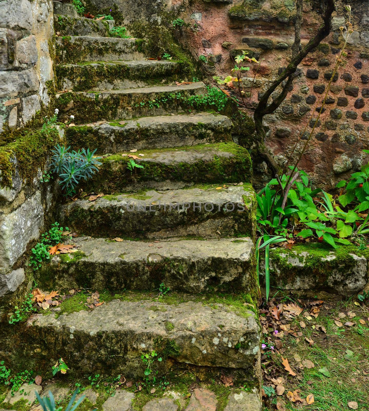 Old ancient stone stairs with moss and fallen leaves in autumn
