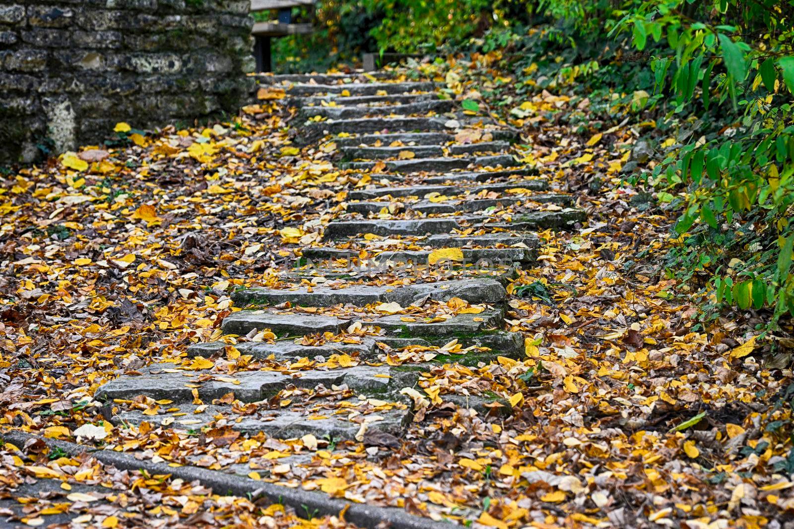 Stone vintage stairs with yellow autumn leaves