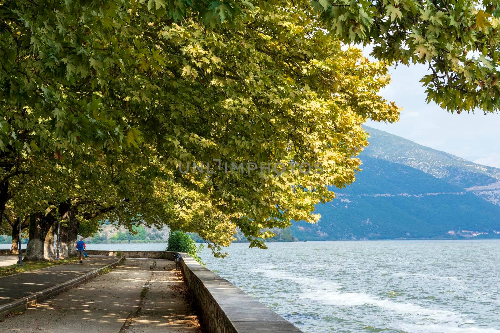 Ioannina lake Pamvotis summer time , Epirus Greece by ankarb