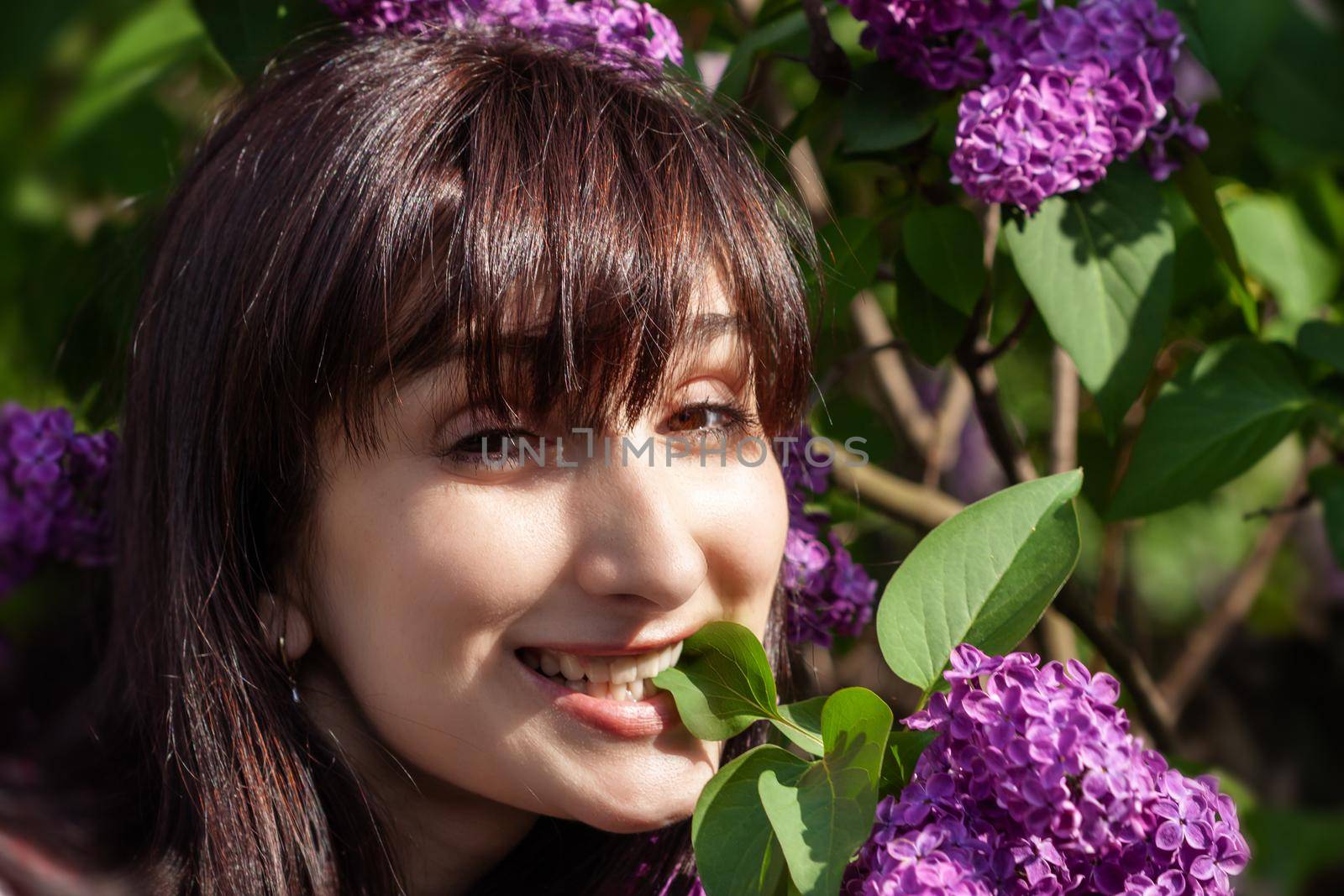 Portrait of a young beautiful woman posing among blooming lilacs. Woman among blossoming lilac bushes in spring.