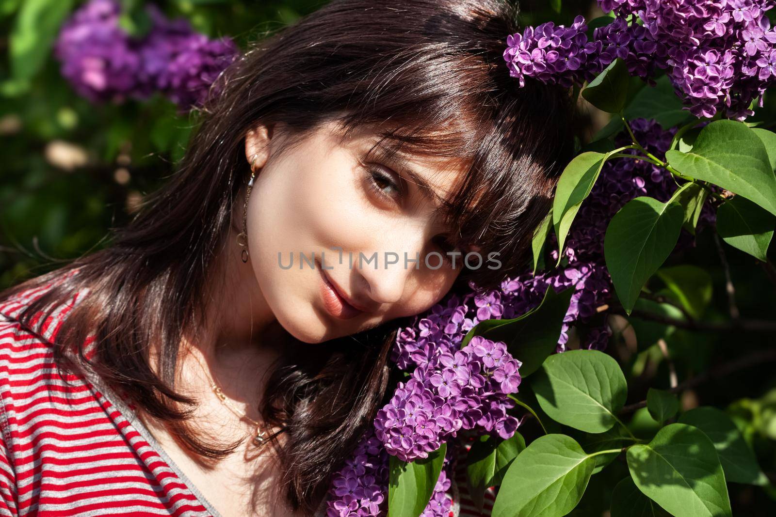 Portrait of a young beautiful woman posing among blooming lilacs. Woman among blossoming lilac bushes in spring.