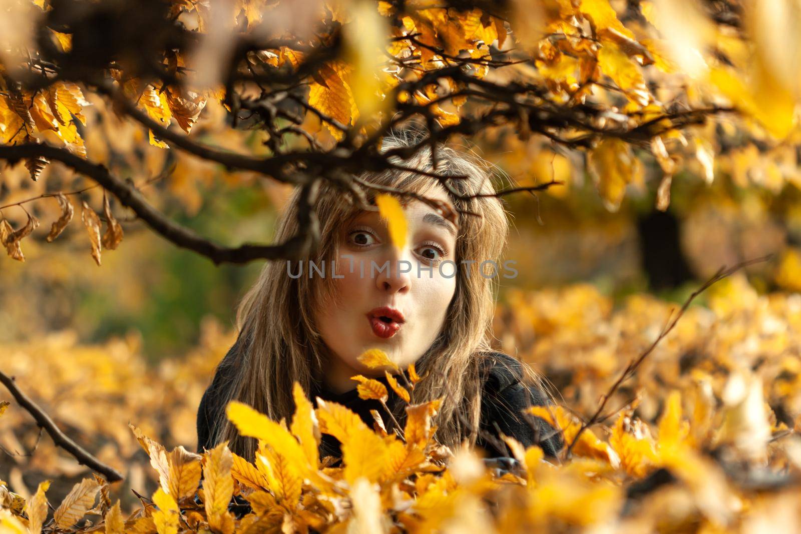 Smiling happy girl portrait with autumn leaves. Young woman among golden autumn leaves. Romantic moment in warm light. Park with yellow leaves and autumn atmosphere.