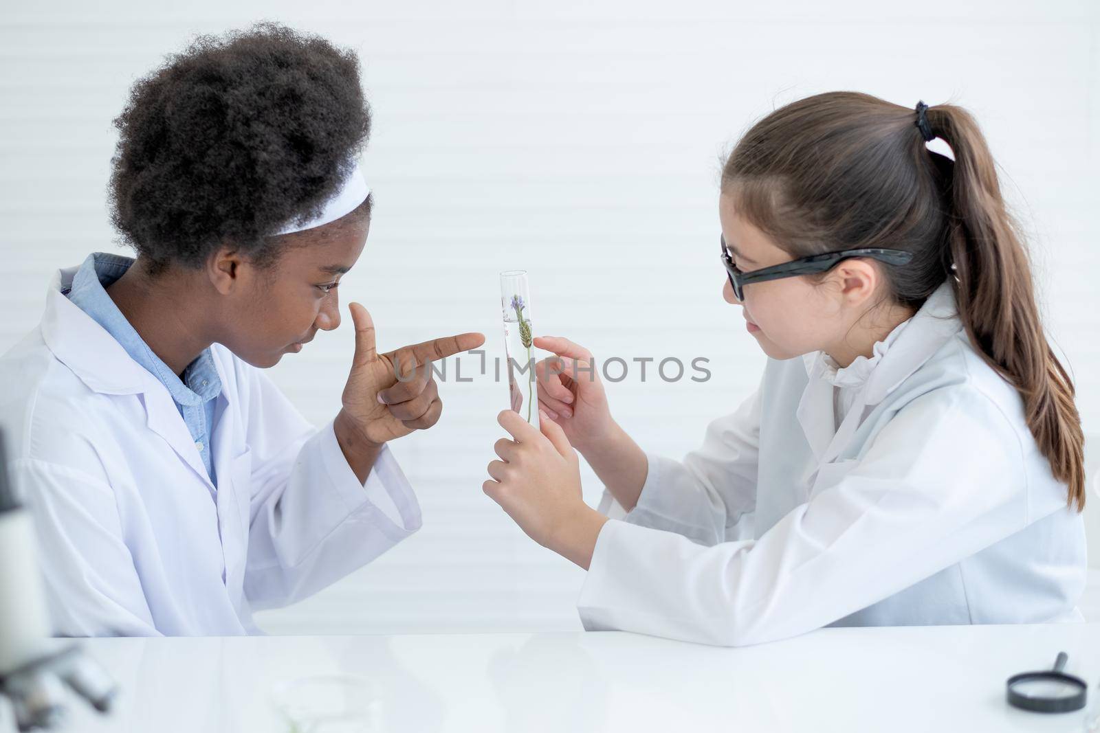 Young African American scientist girl point to test tube with piece of plant tissue that hold by her Caucasian friend during do some experiments in laboratory or classroom.