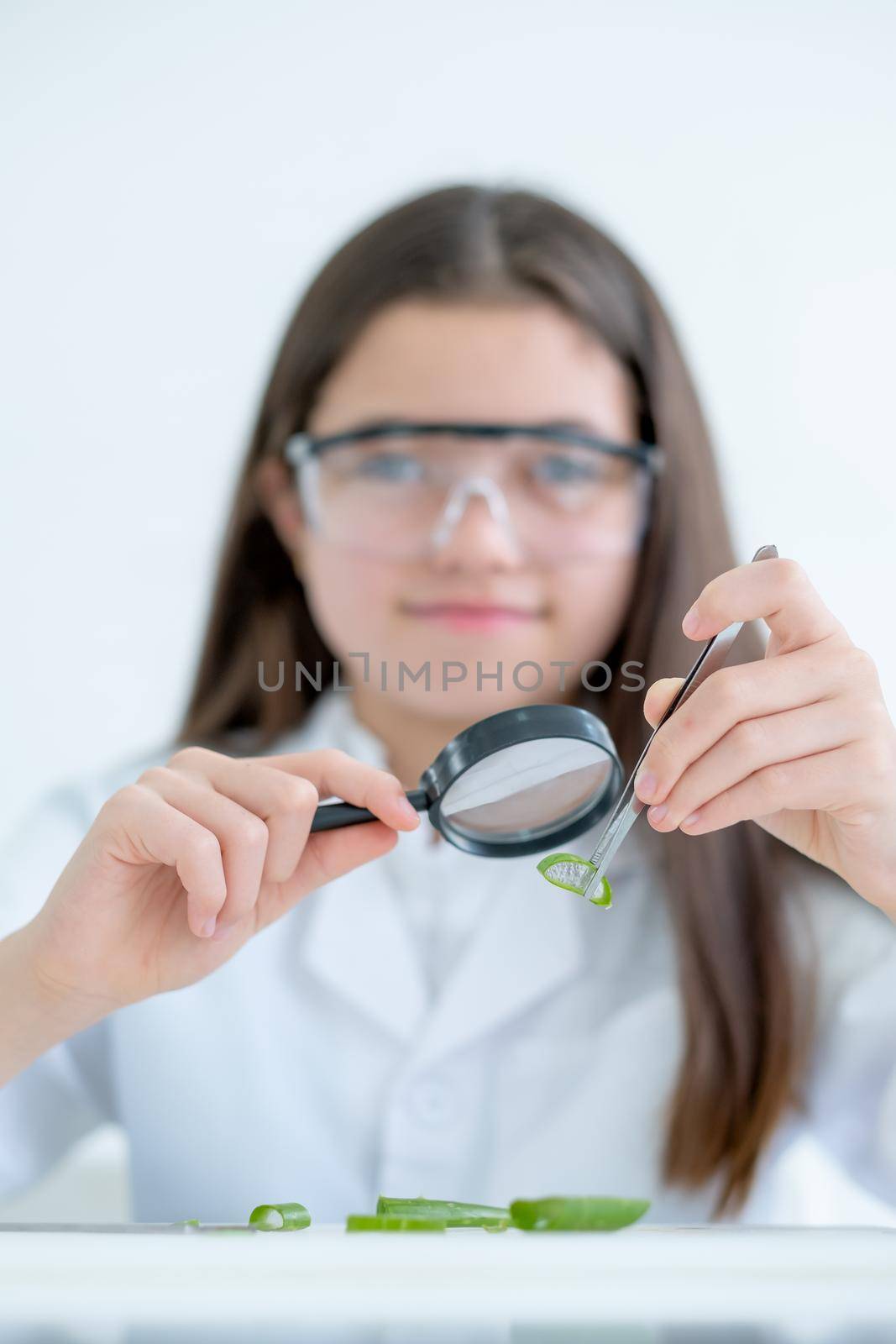 Hands of young Caucasian scientist girl hold magnifying glass to see more details of Aloe Vera tissue in laboratory or classroom.