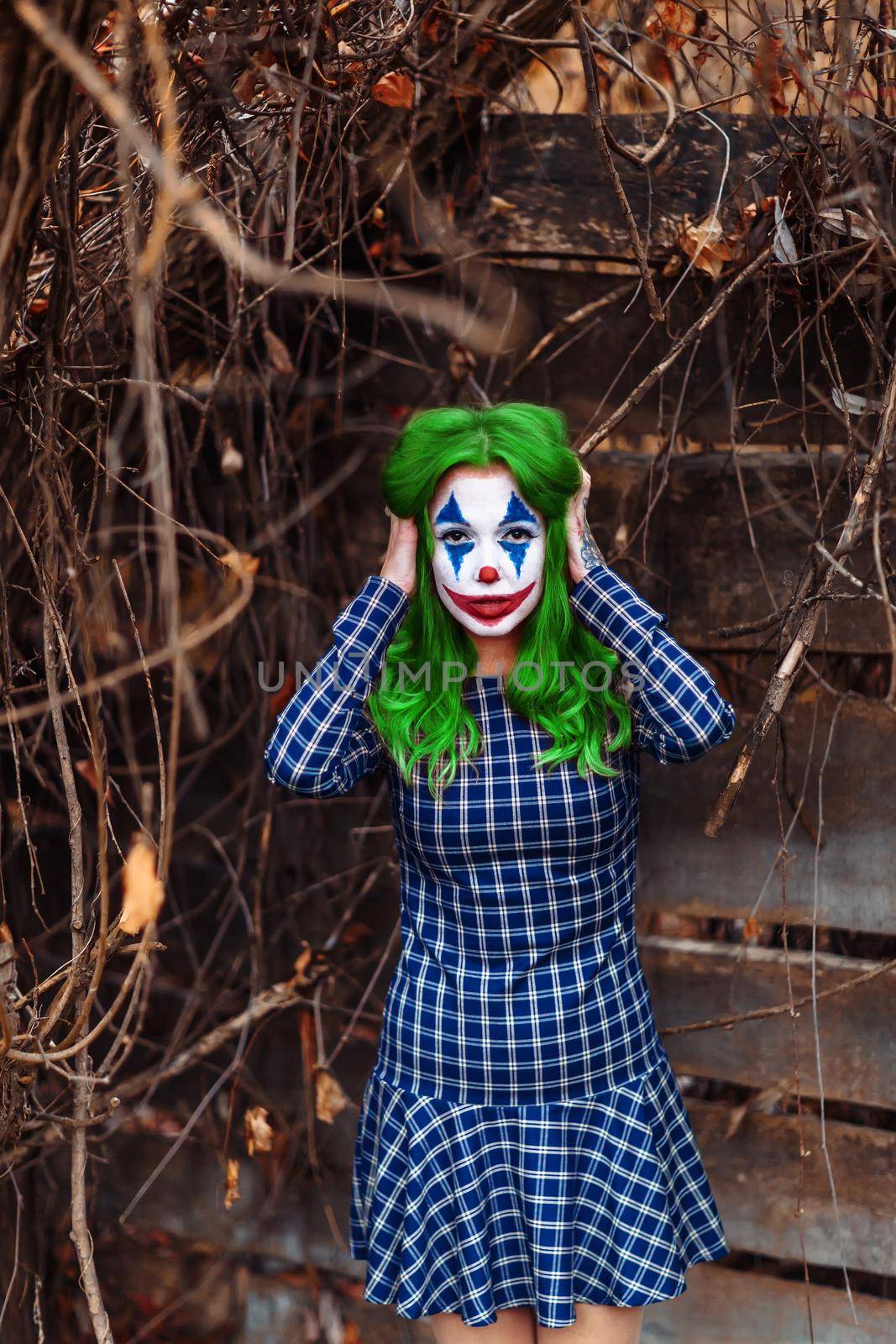 Portrait of a greenhaired woman in chekered dress with joker makeup on a atmospheric wooden background.