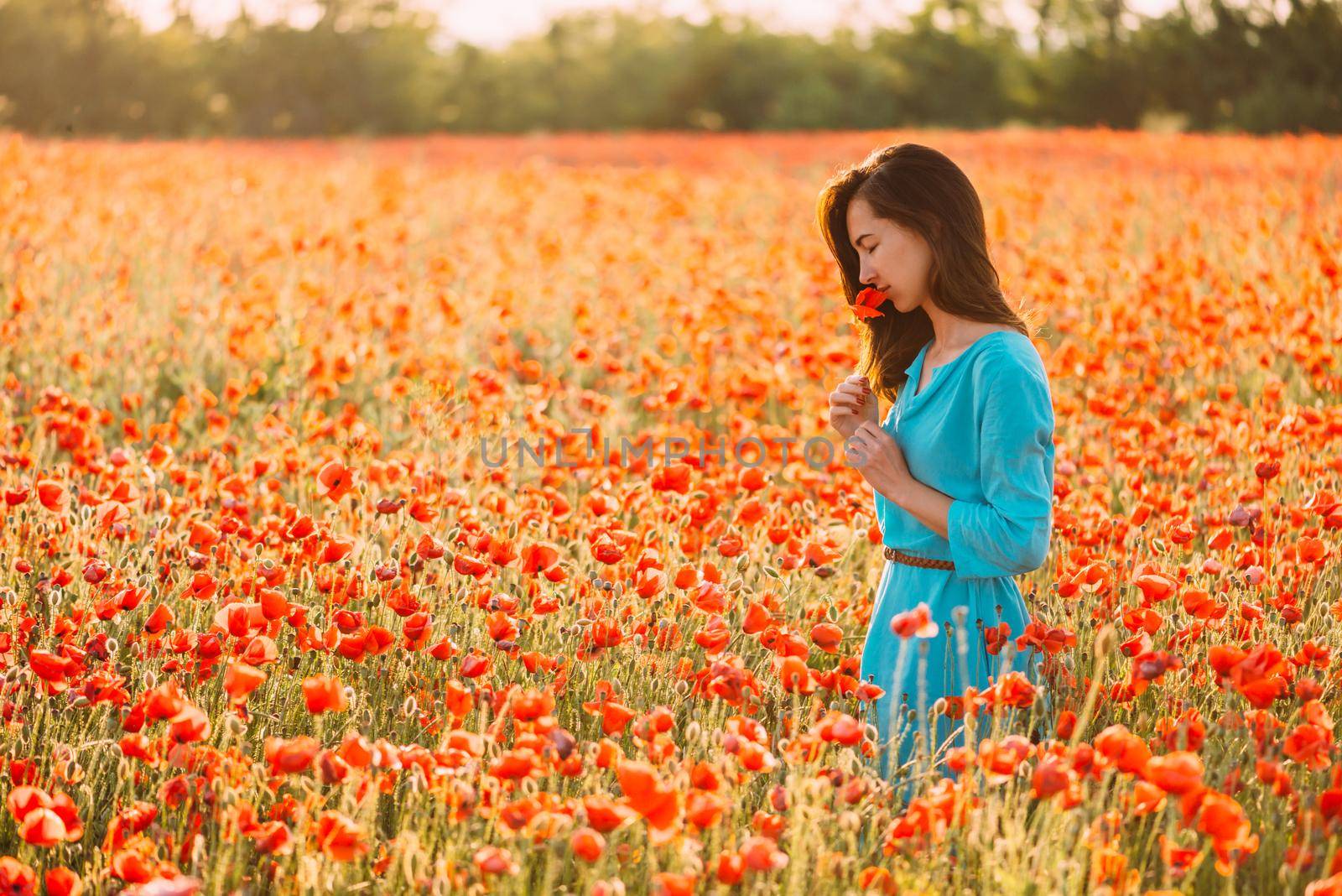 Romantic beautiful woman smelling a red poppy flower in summer field. by alexAleksei