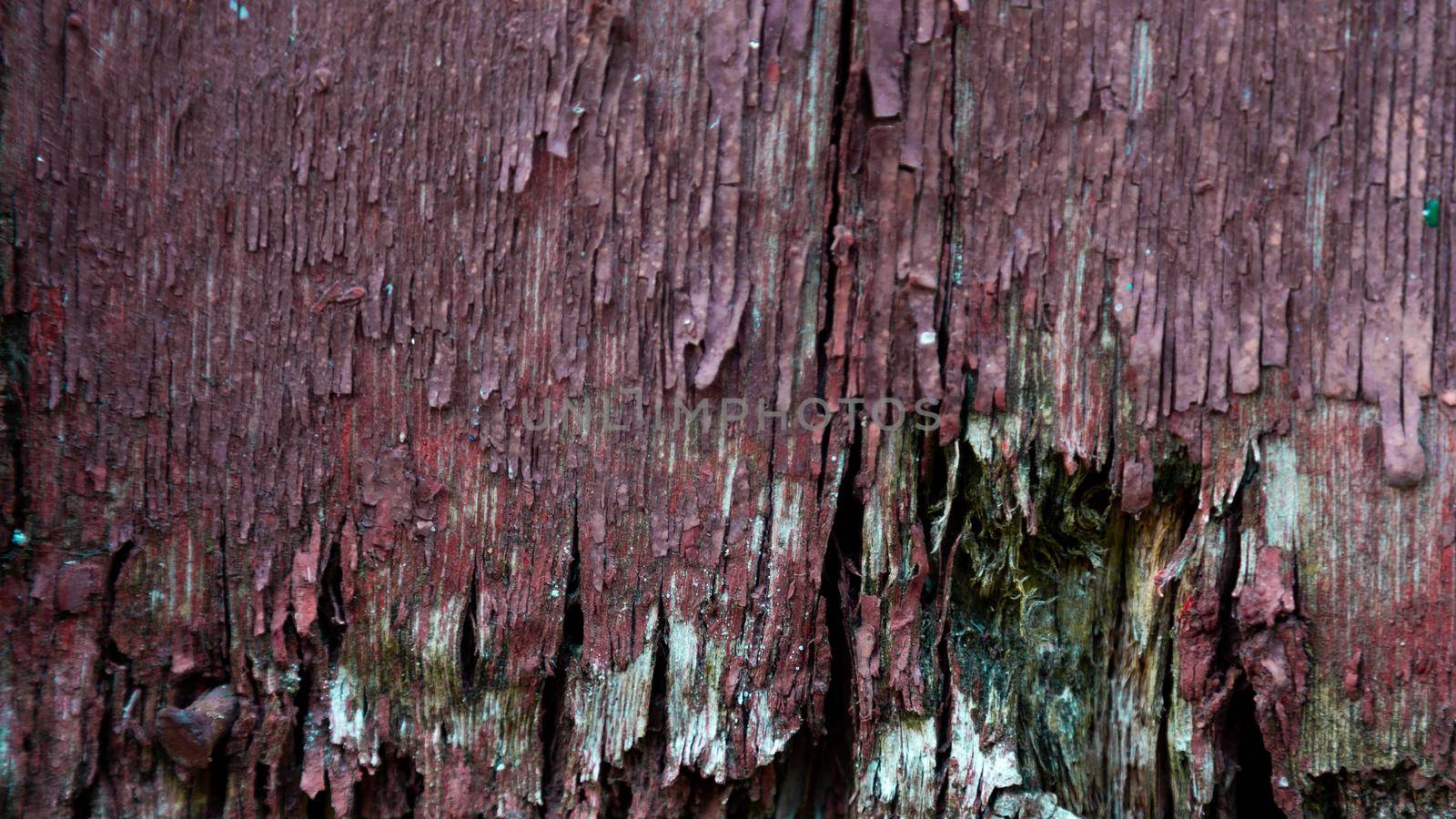 wood facade on a house which is rotten in the bottom needing replacement repair. falling apart by lunarts