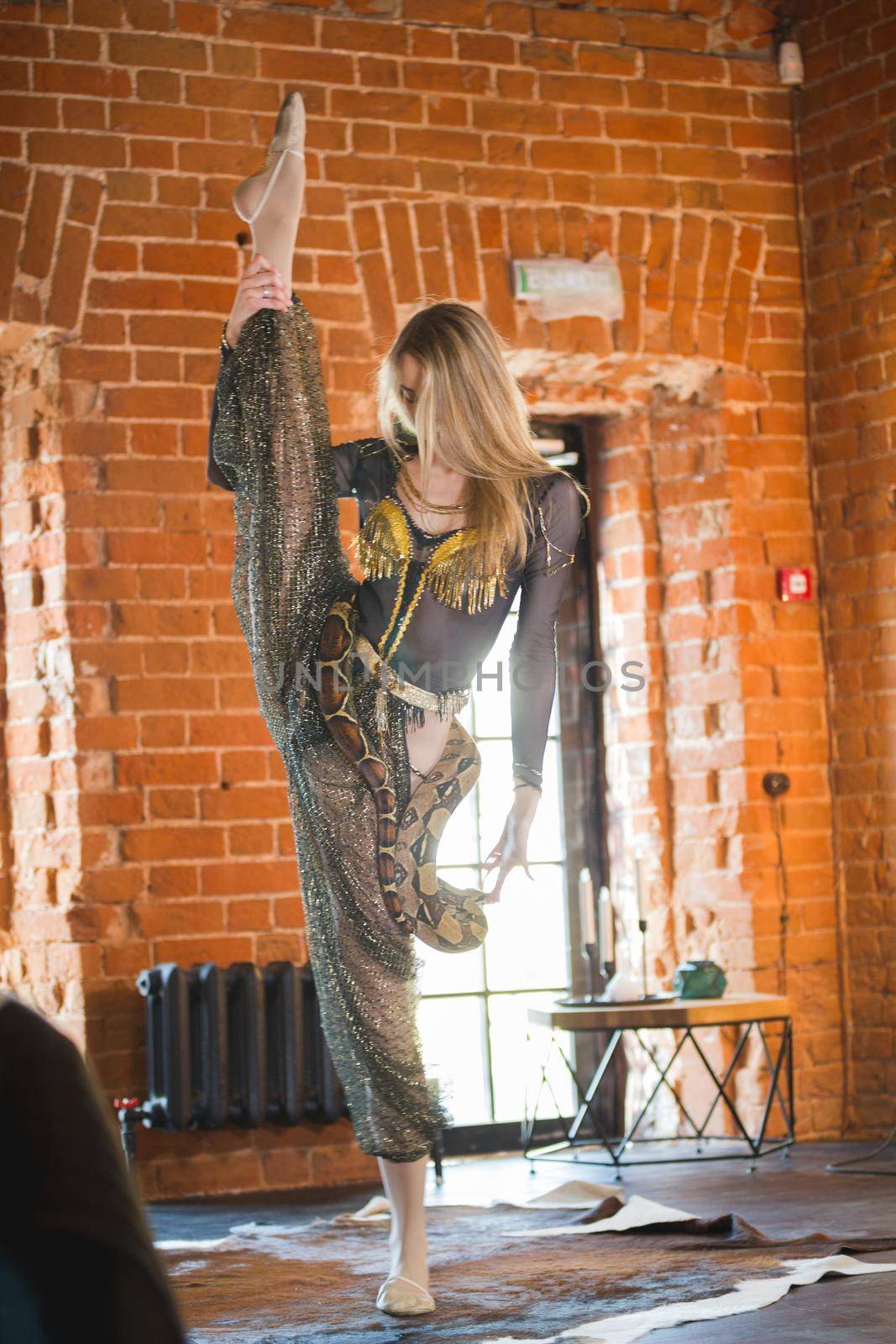 Slim female performing dance with a snake in studia by Studia72