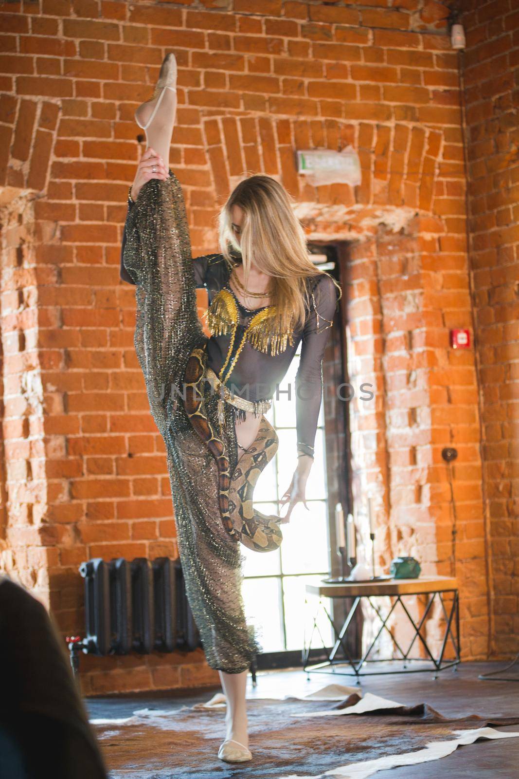 Slim female performing dance with a snake in studia, close up