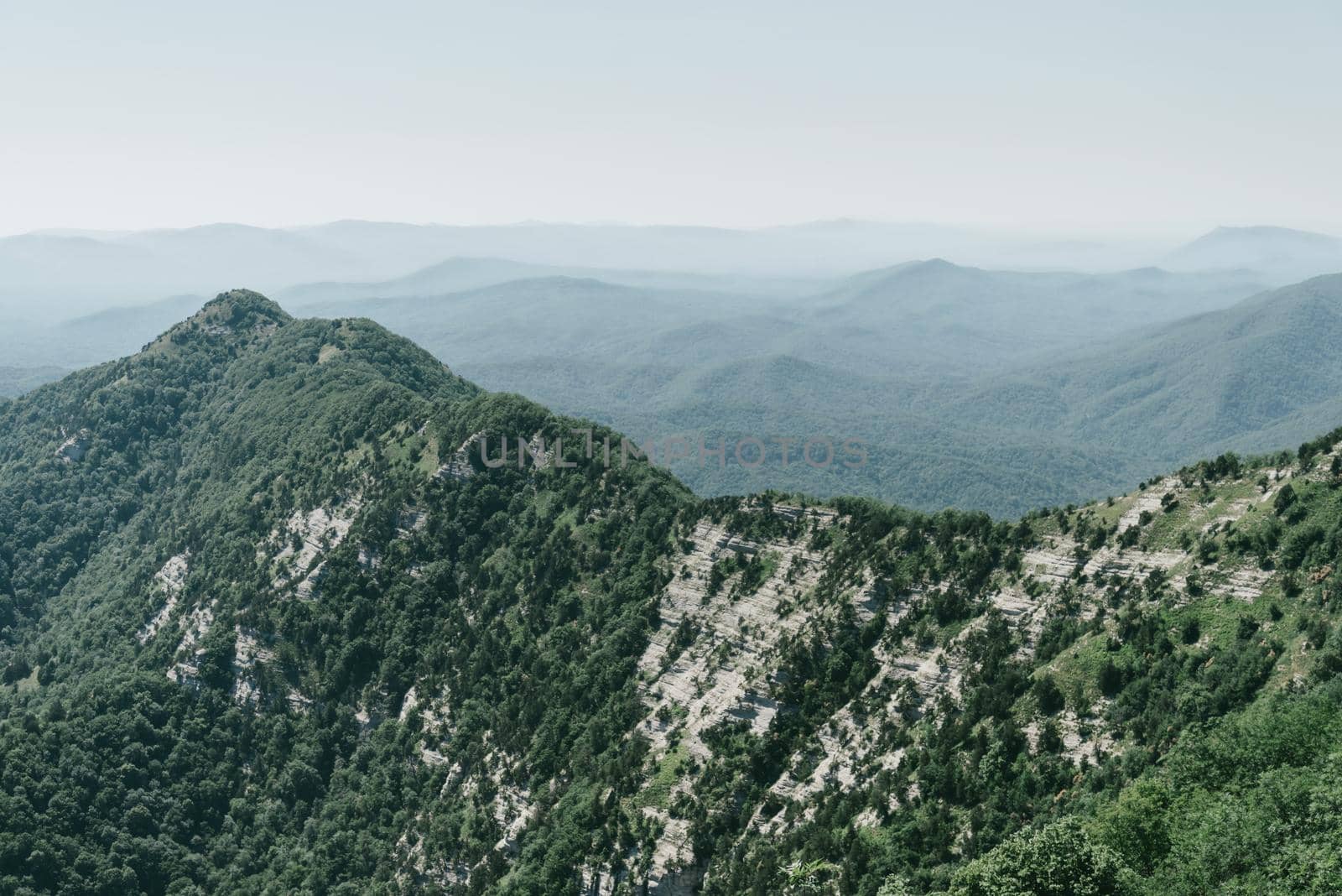 Beautiful summer mountain landscape. Rocky ridge with lush green trees. Nature background, nobody.