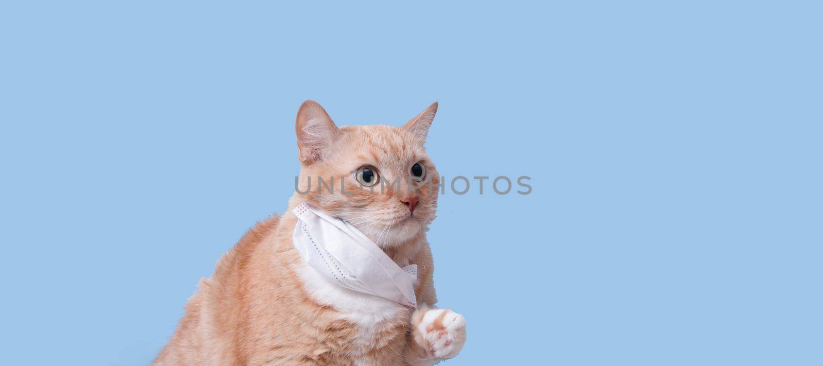 cute scared ginger cat in white children's medical protective mask on a blue background copy space, banner, veterinary and pet treatment