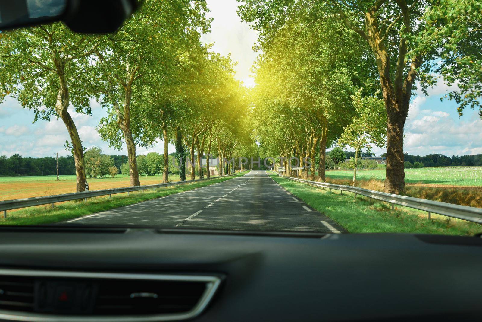 View of the road and forest through the windshield of the car Sunbeams