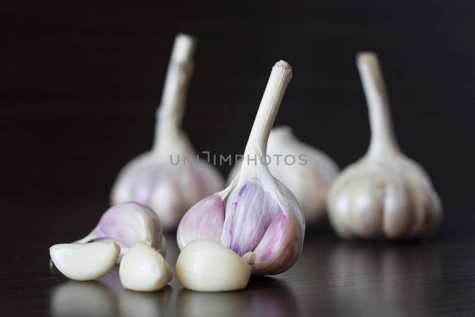 Garlic on a dark background