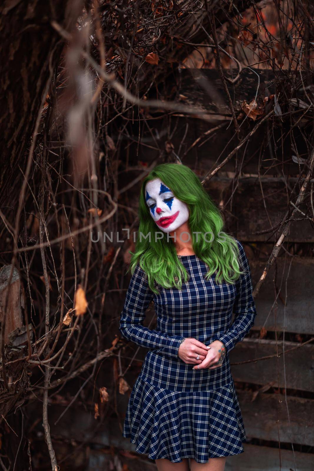 Portrait of a greenhaired girl in chekered dress with joker makeup on a atmospheric wooden background.