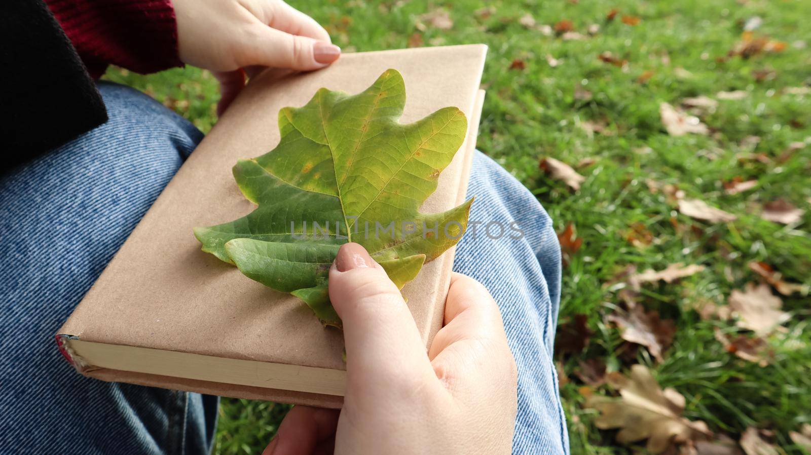 A woman holds a closed book lying in her lap with a fallen oak leaf close-up in a park on a sunny warm autumn day. The concept of relaxation, reading and relaxation alone