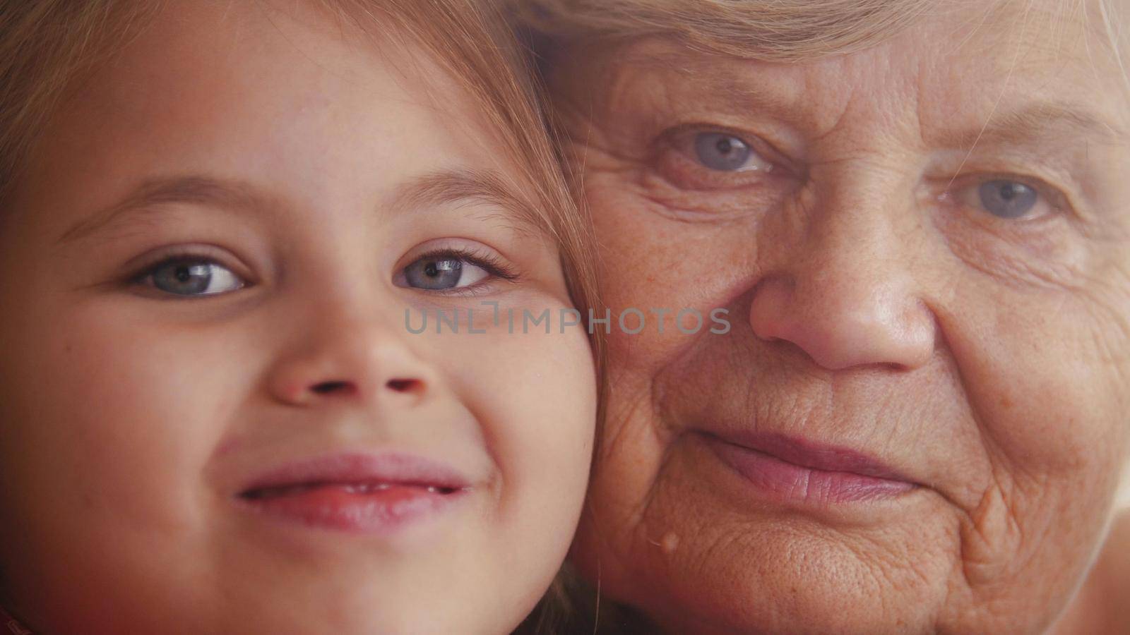 Close up portrait of cute small lovely granddaughter and her charming nice kind granny by Studia72