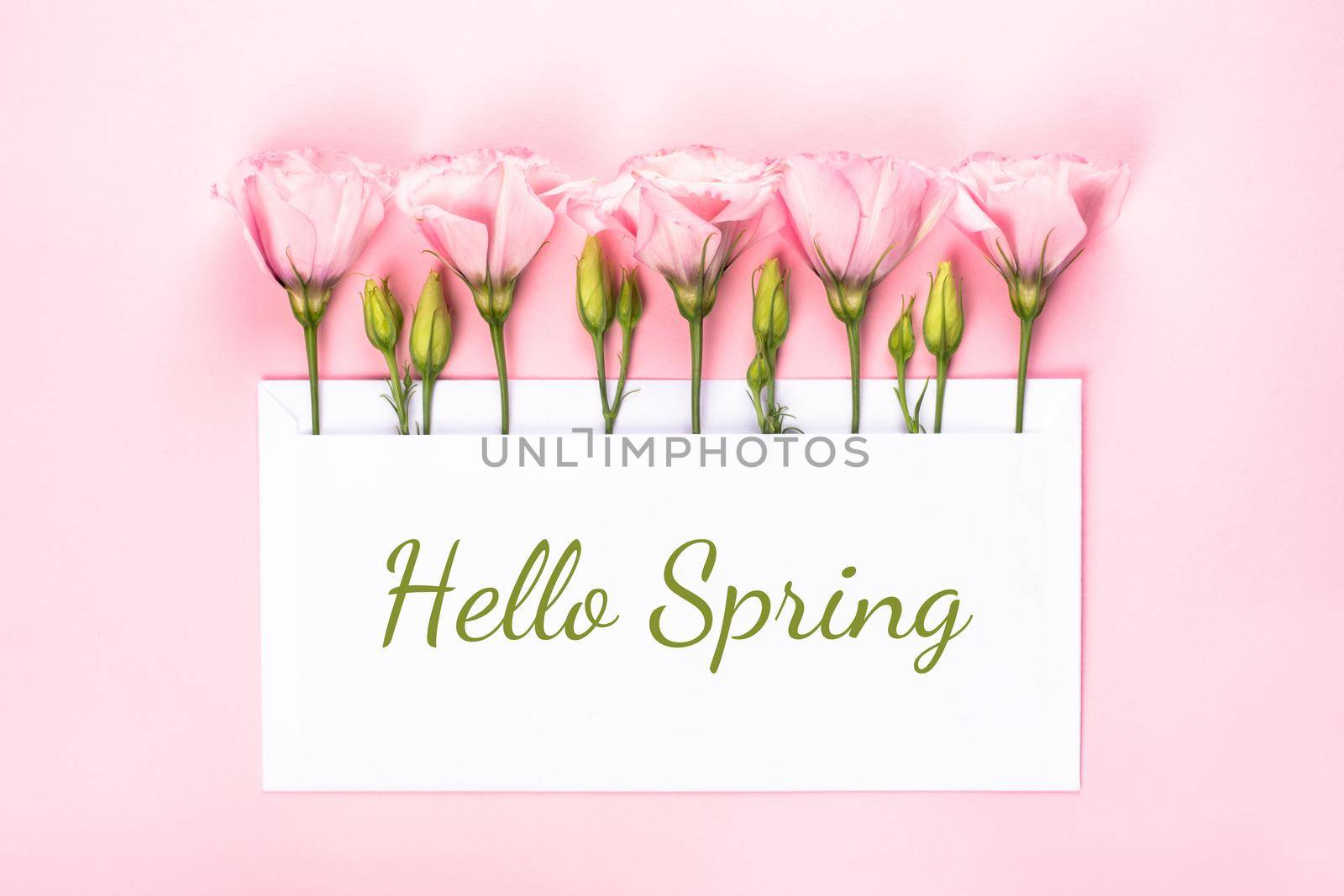 Hello spring banner. Pink Eustoma flowers arrangement with blank card on light pink background. Copy space. Top view