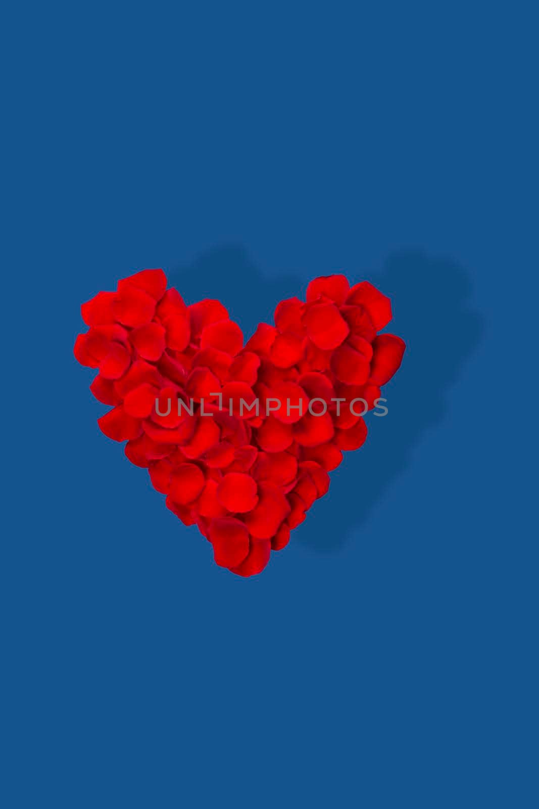 Heart made from red rose petals isolated on blue background . Top view, flat lay. Copy space
