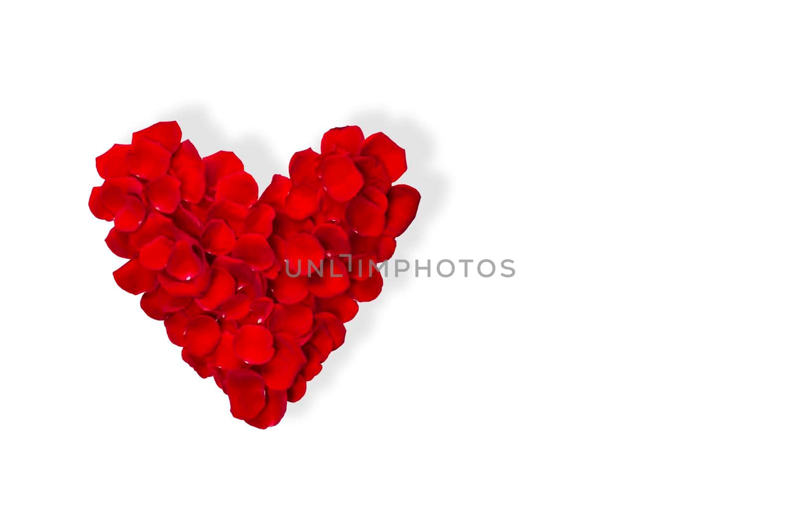 Heart made from red rose petals isolated on white background . Top view, flat lay. Copy space