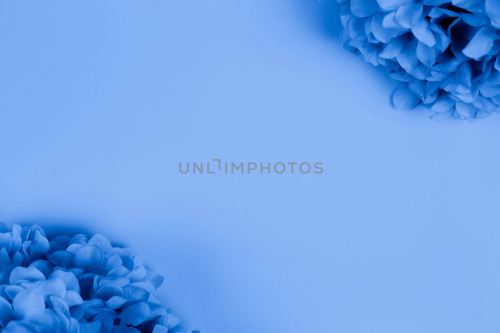 Flower frame in trendy classic blue color with copy space for text by lunarts