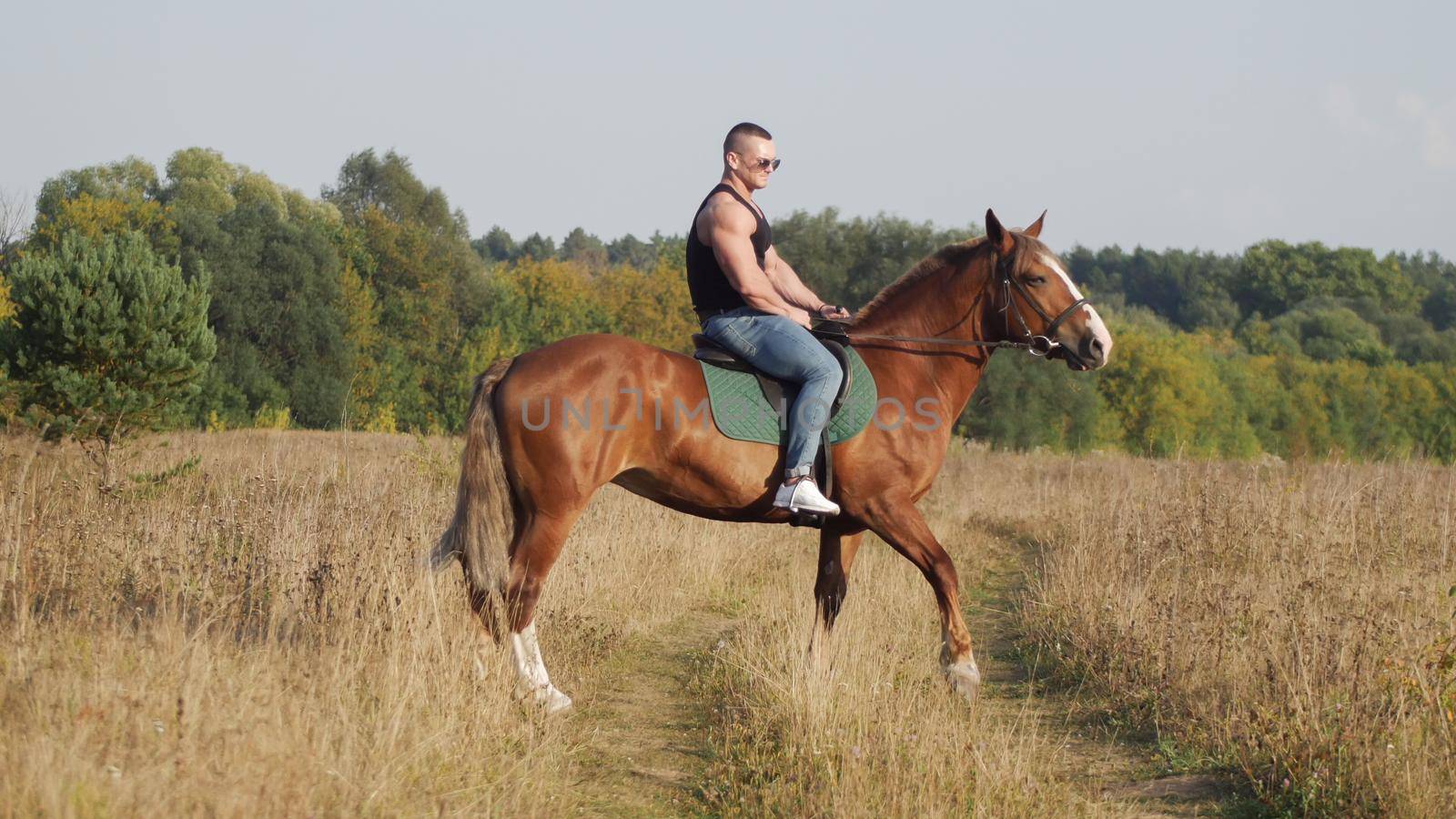Muscular bald man riding horse in the field