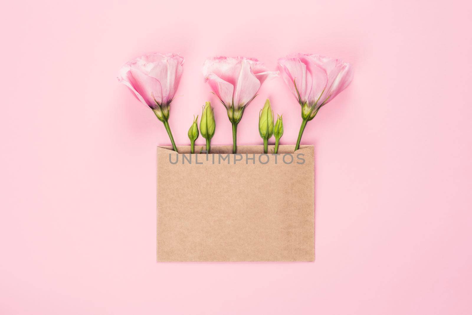 Trendy monochrome banner for Valentines Day, International Womens Day or mothers day. Party or wedding invitation. Eustoma flower arrangement with flowers and blank card, on pink background