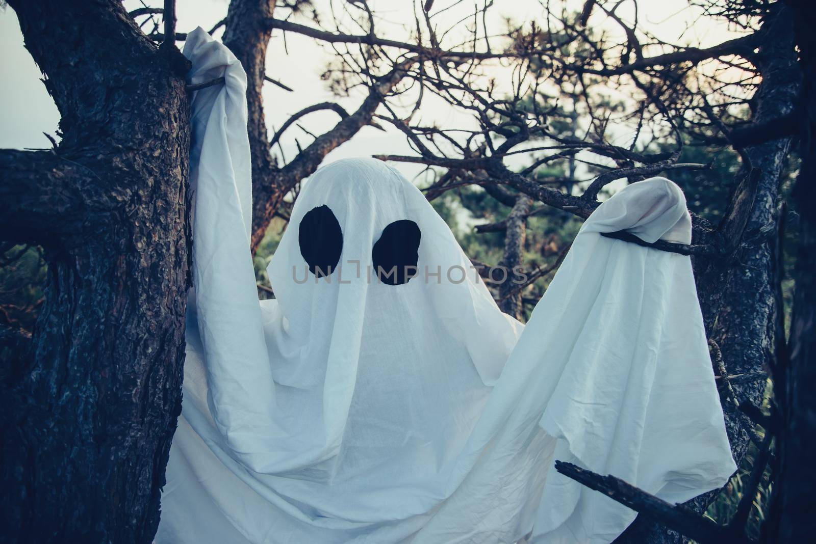 White ghost with black eyes walking in the woods. Theme of horror and Halloween