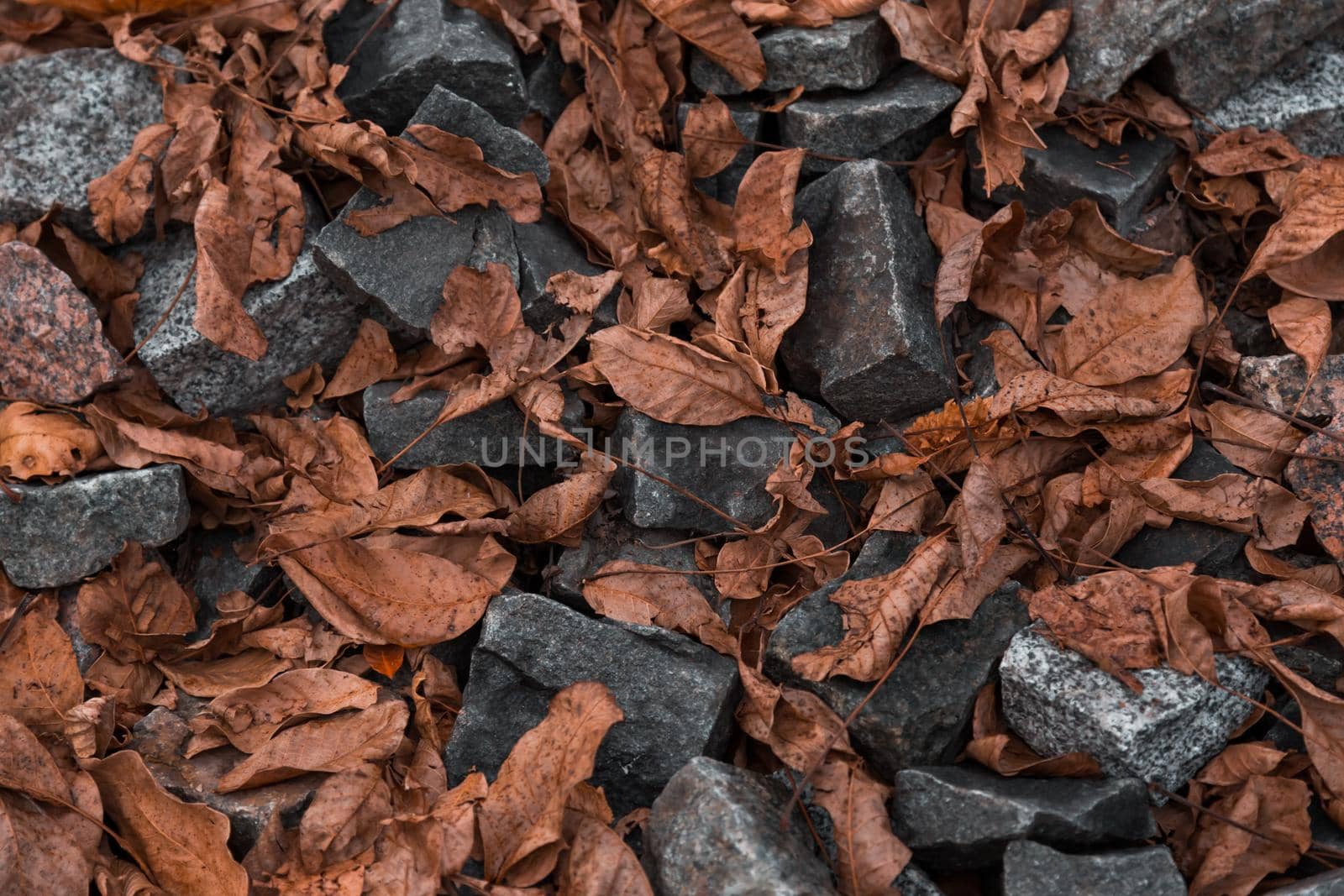 A lot of colorful stones on the shore. Rocky shore background. Granite, gravel on the beach with autumn yellow leaves. Grey brown colors of stones on seaside. Texture of natural granite