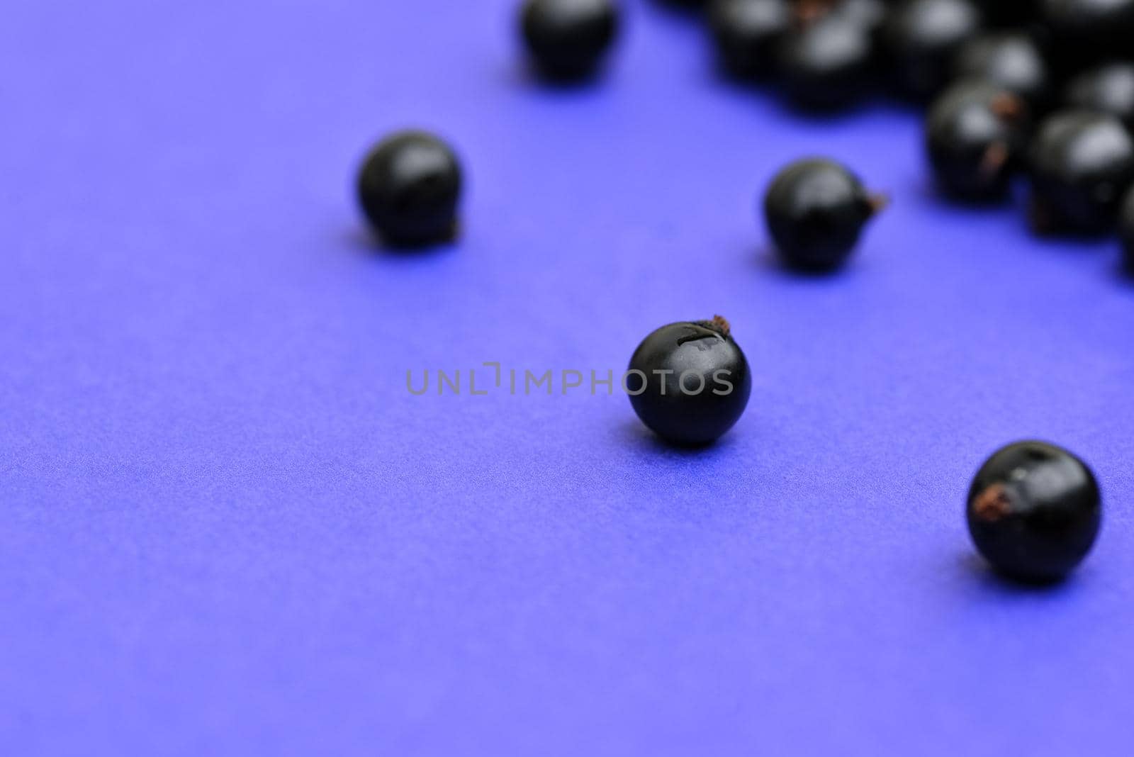 Black currant berries macro photo. Top view. Black currant on navy blue background. Summer berries.