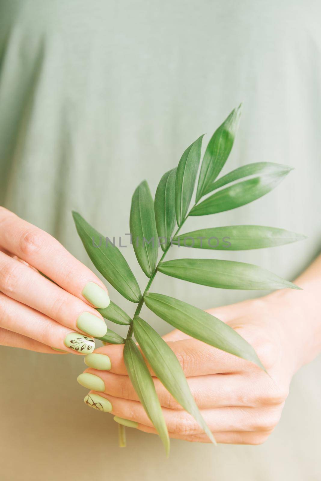 Female hands with beautiful green summer style manicure and art-nail holding palm leaf.