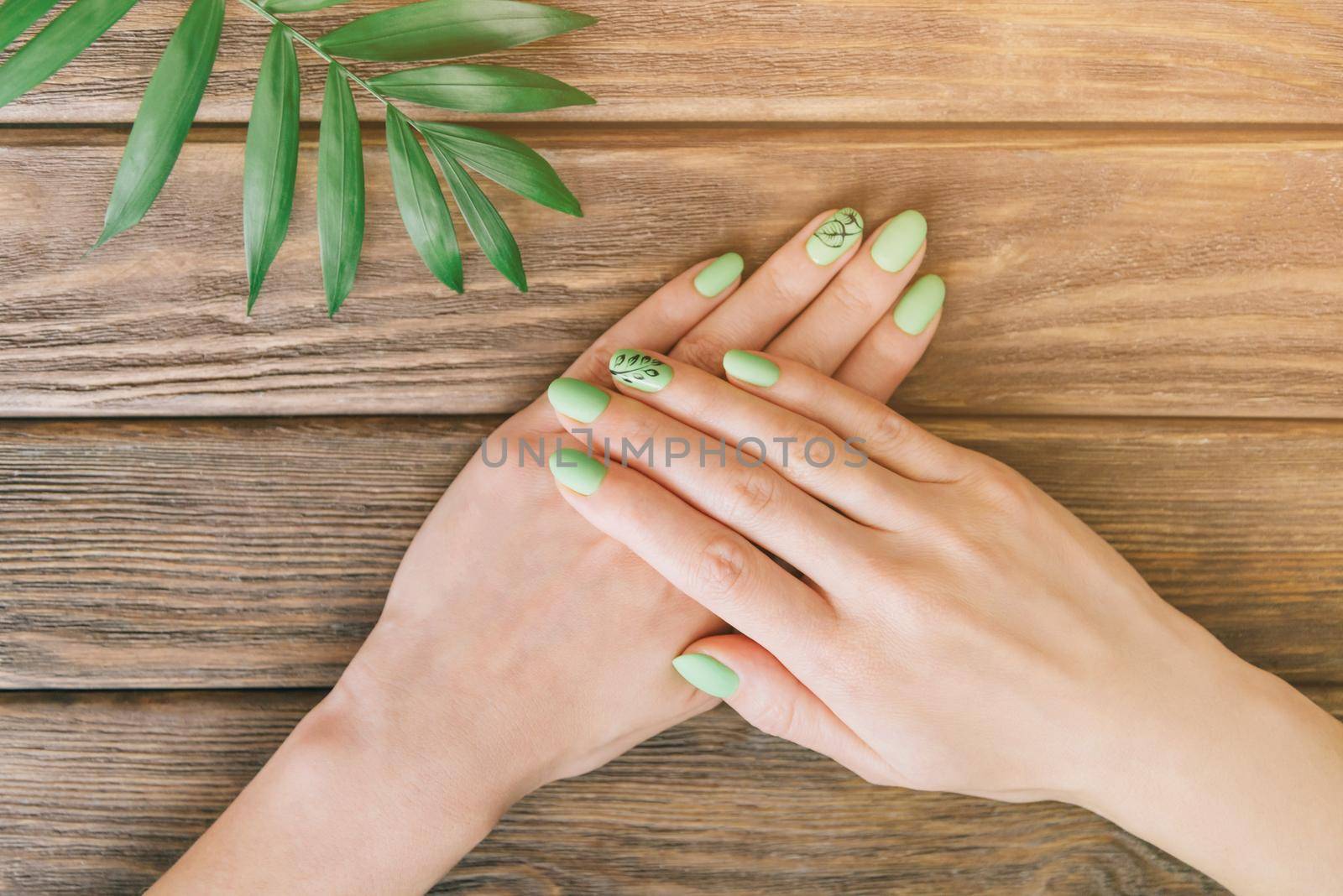 Female hands with beauty summer style green manicure. by alexAleksei