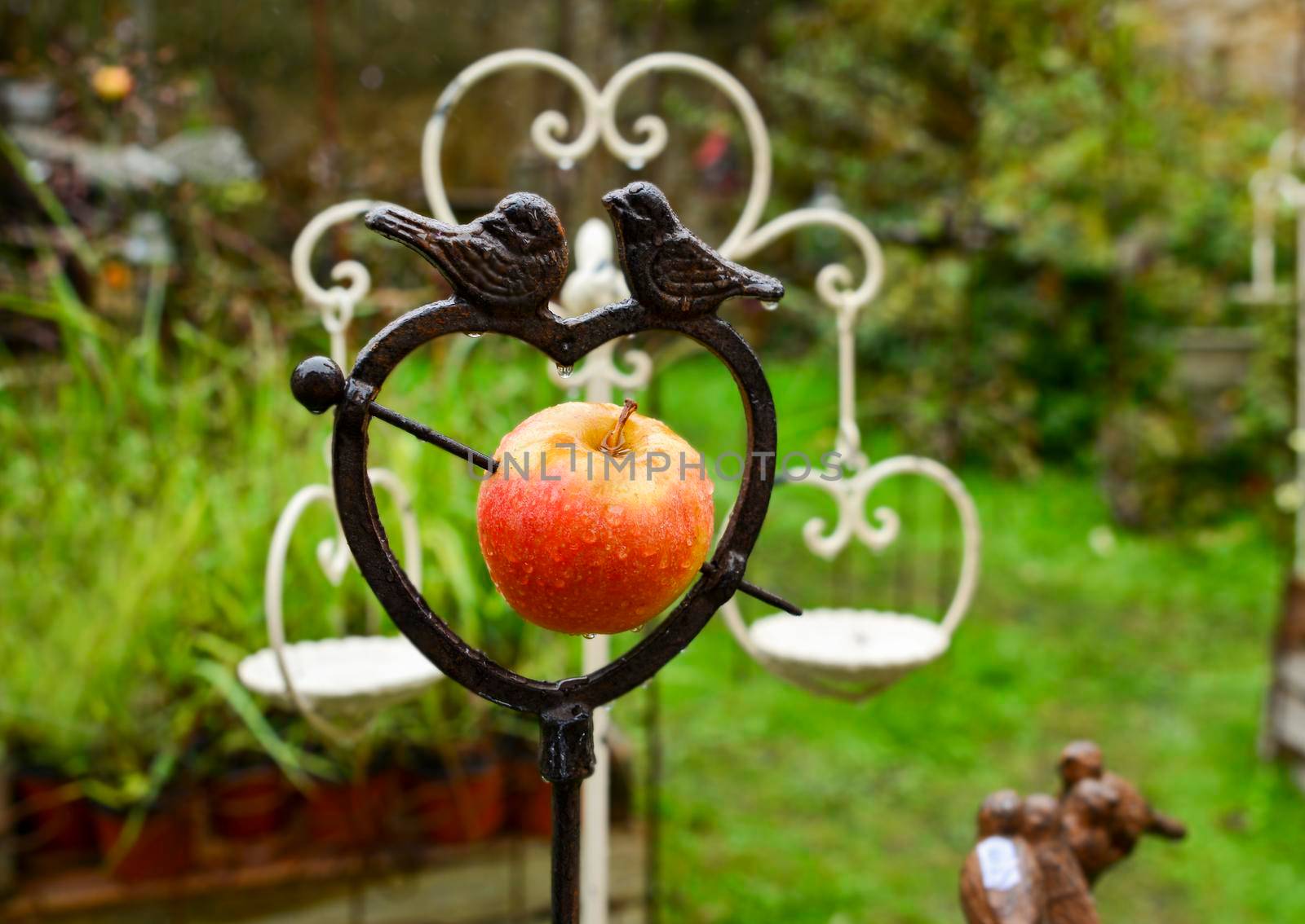 Metal bird feeder with apple in the shape of heart Spring