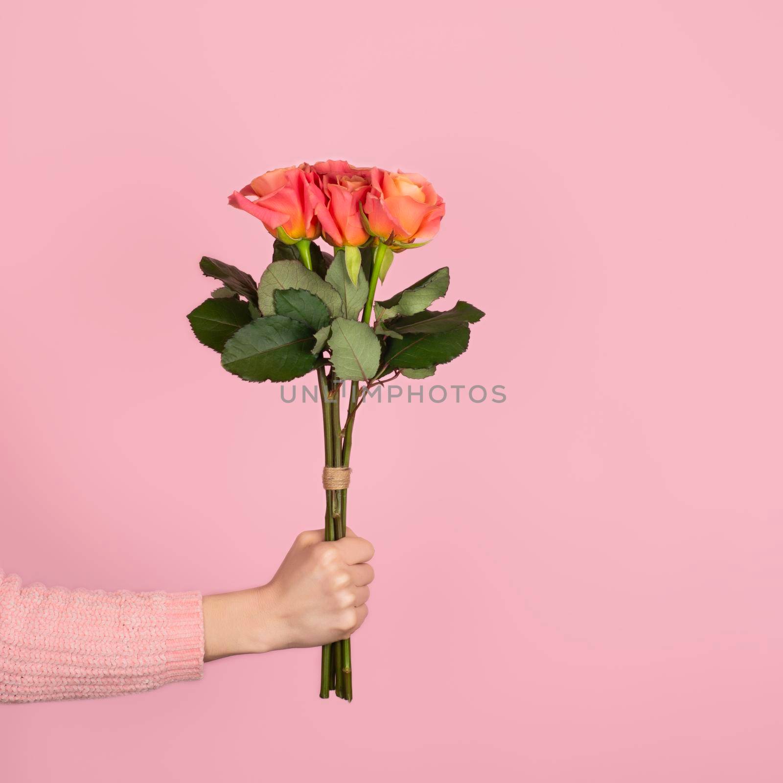 Beautiful bouquet of tender pink roses in a woman hand on light pink background. Trendy banner for Valentines Day, International Womens Day or mothers day. Copy space