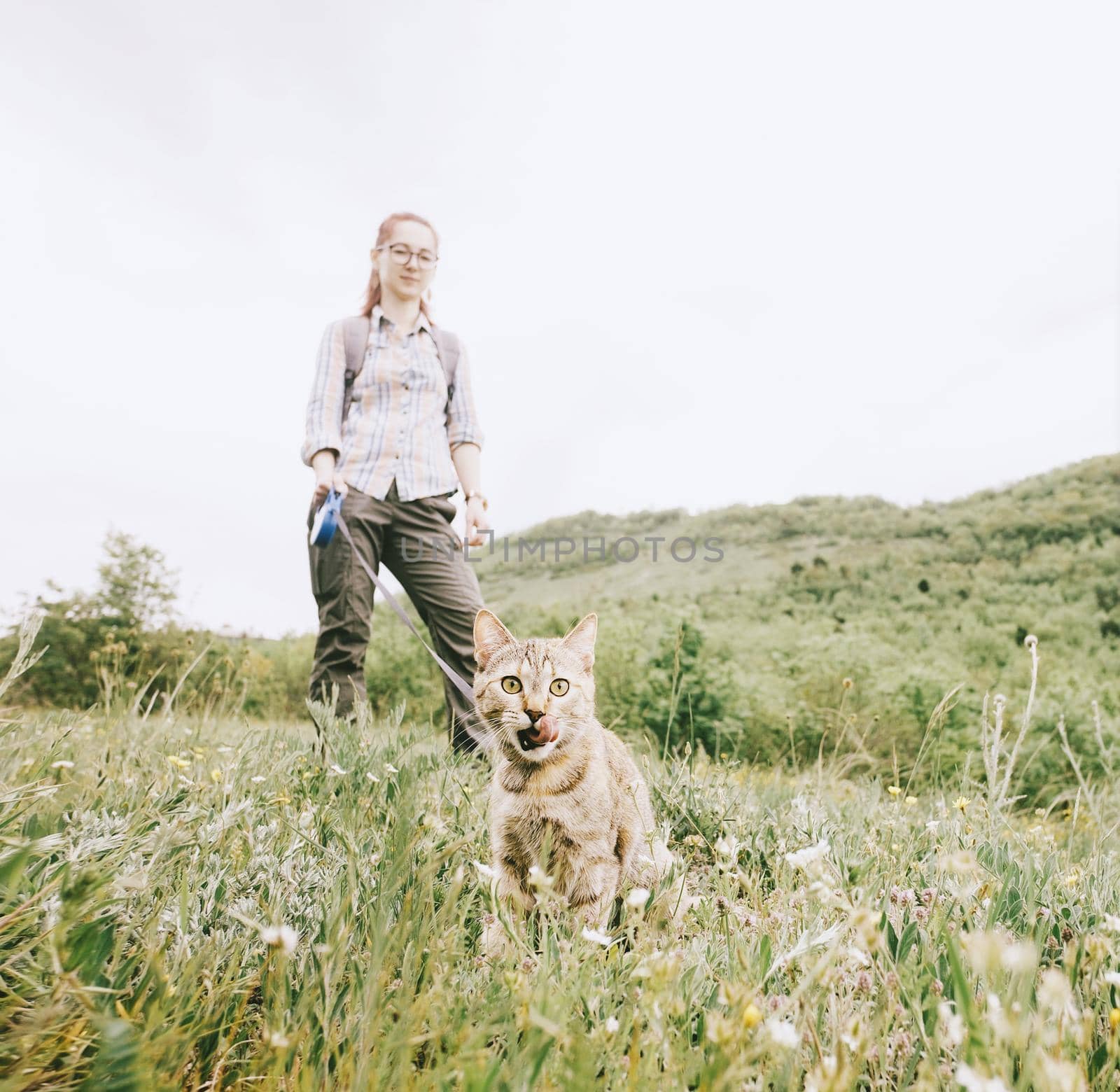 Young woman walking with cat pet on a leash on nature in summer outdoor.