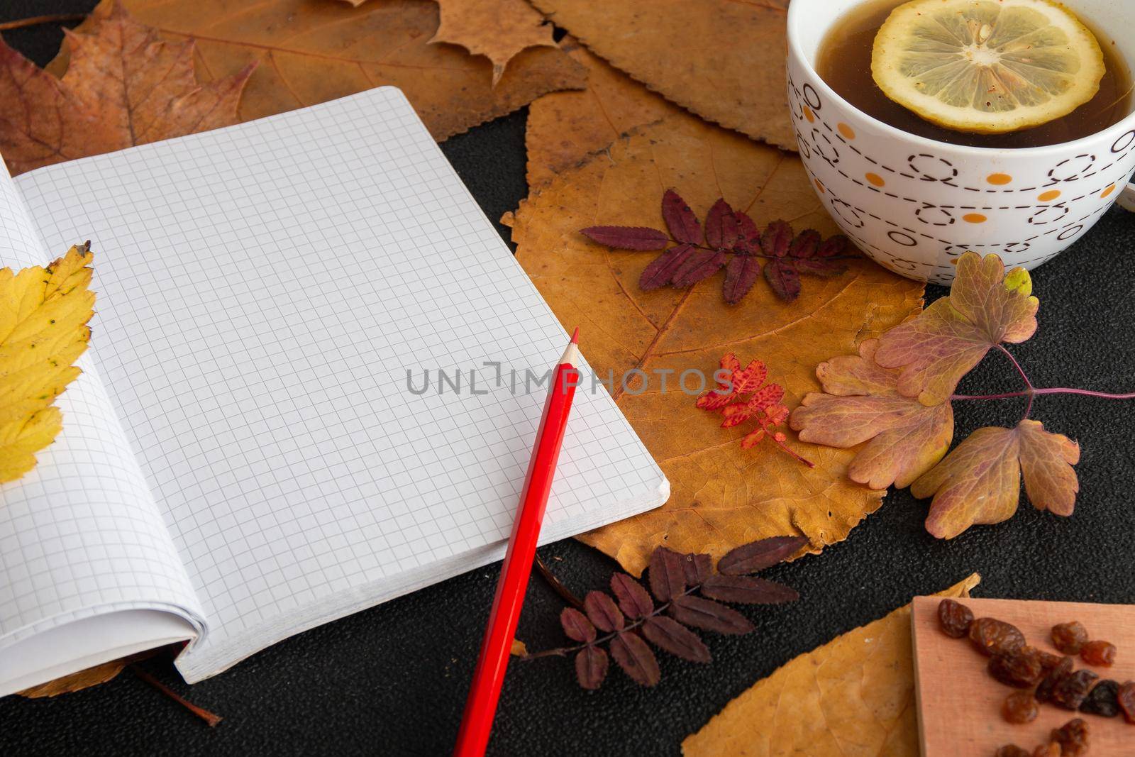 red pencil on an open notebook with readable sheets in a cage. objects on dry autumn leaves a cup with tea and a slice of lemon