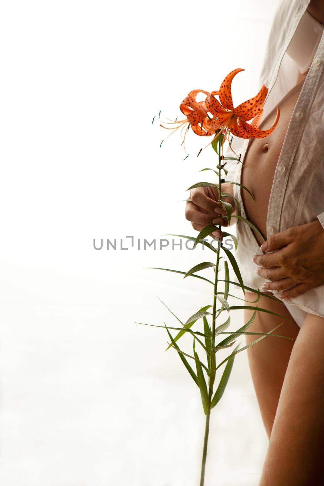 pregnancy belly with flower and white shirt. Pregnant woman holding lillies isolated on white