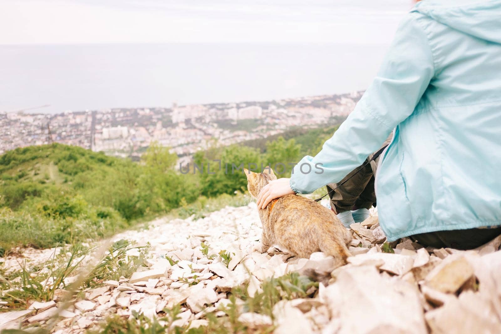 Cat pet of ginger color walking with woman over the town on nature in summer mountains outdoor.