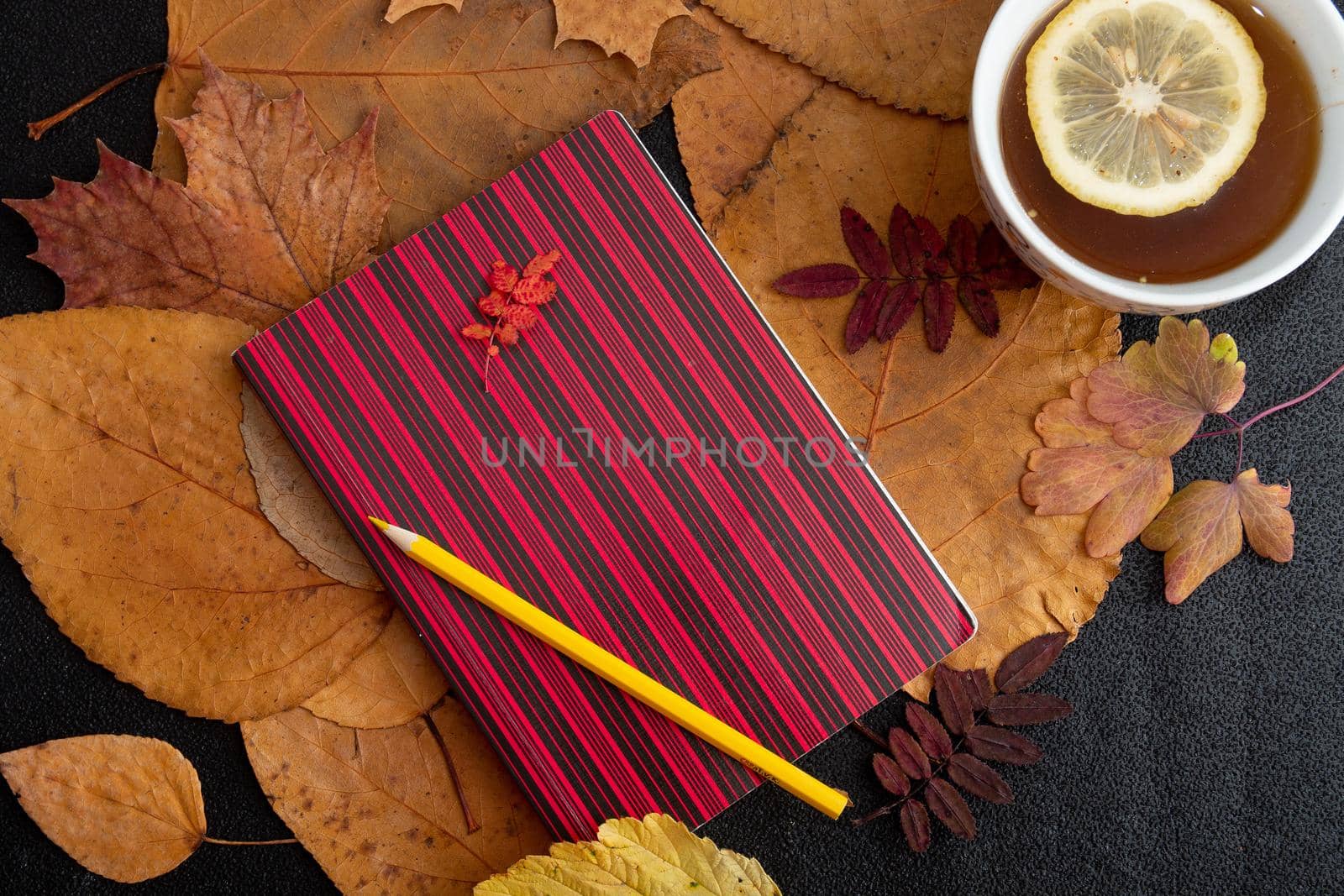 yellow pencil on a red striped notebook lies on dry autumn leaves a cup with tea with lemon on a cherng background autumn yellow orange