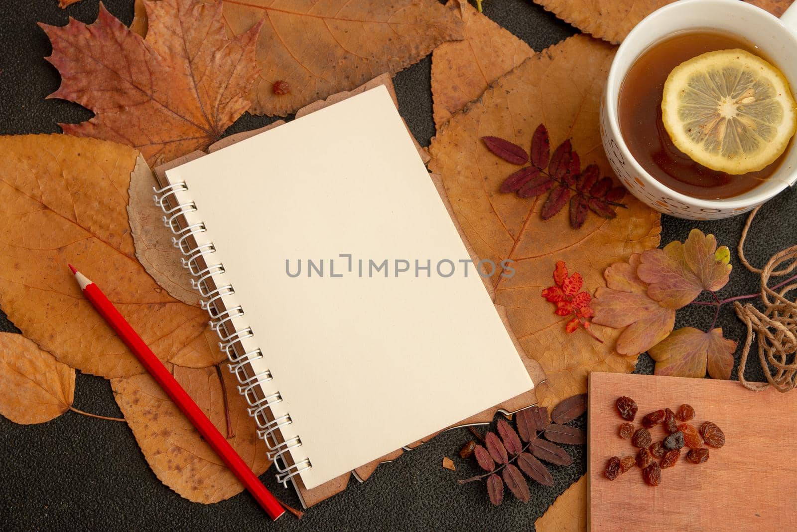 a readable white open notebook on autumn lots, yellow orange black background, red pencil, autumn, raisins for tea, tea with lemon in a white big cup, cold evening, warm up, notes, flat lay, top view, still life