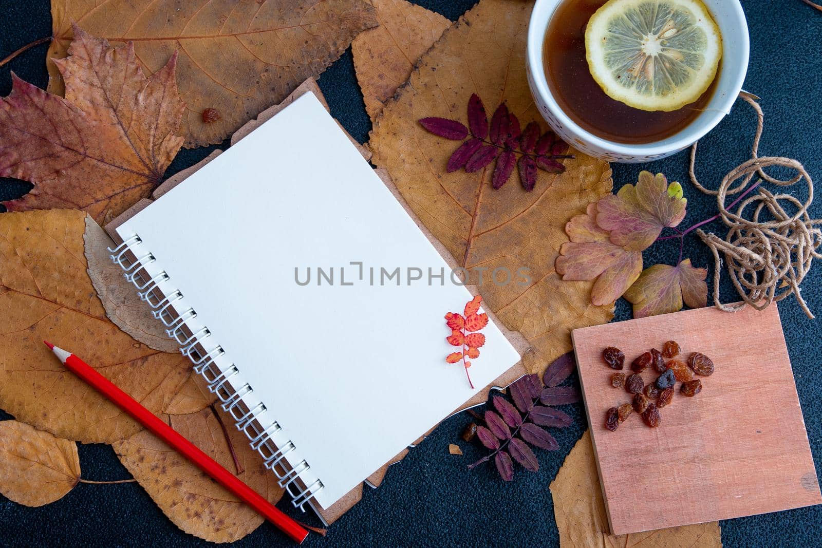 red pencil on an open notebook with readable sheets in a cage. objects on dry autumn leaves a cup with tea and a slice of lemon raisins on a notebook scetch book