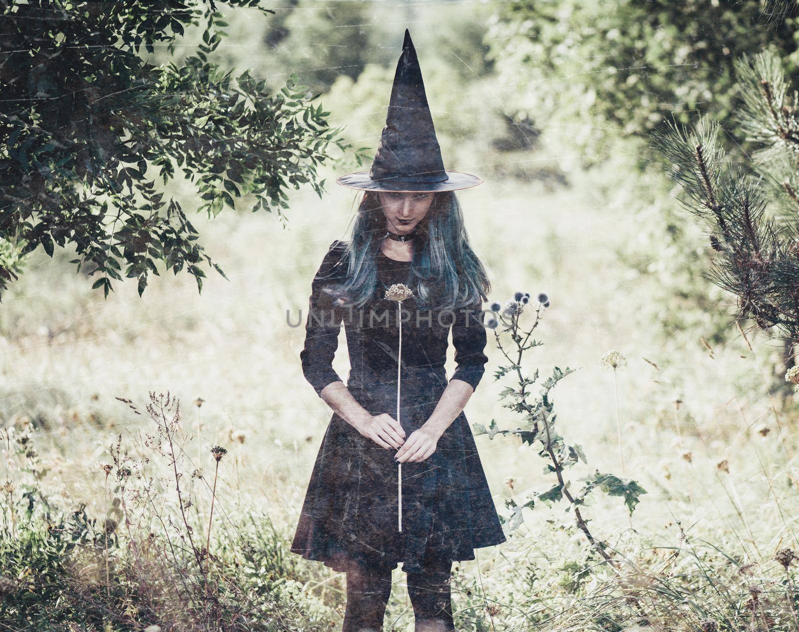 Witch with dry flower by alexAleksei