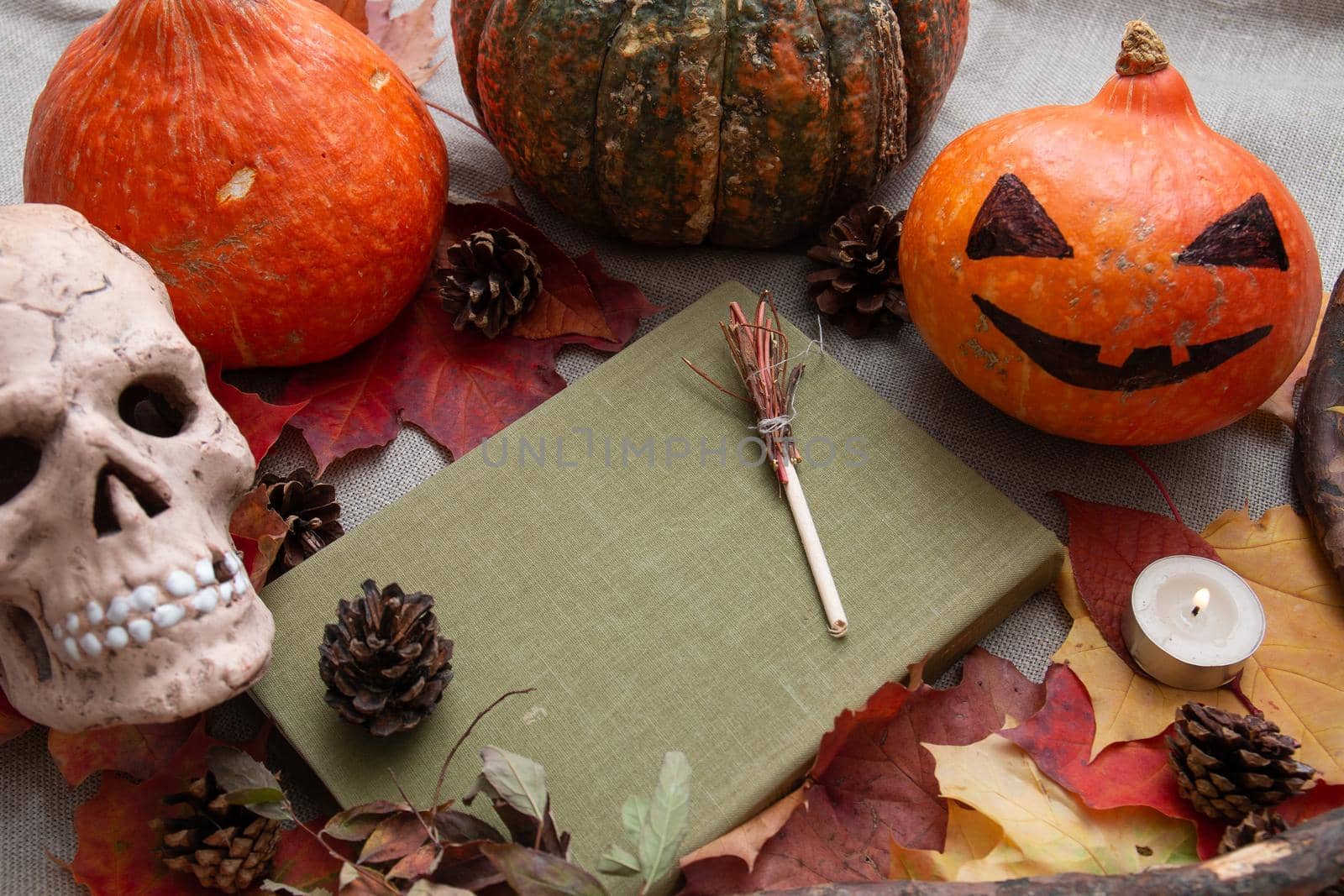 witch's haunted seats on a green paper with a cover made of fabric, pumpkins and a ceramic skull, various autumn natural objects on a linen background, autumn leaves and a candle, halloween background