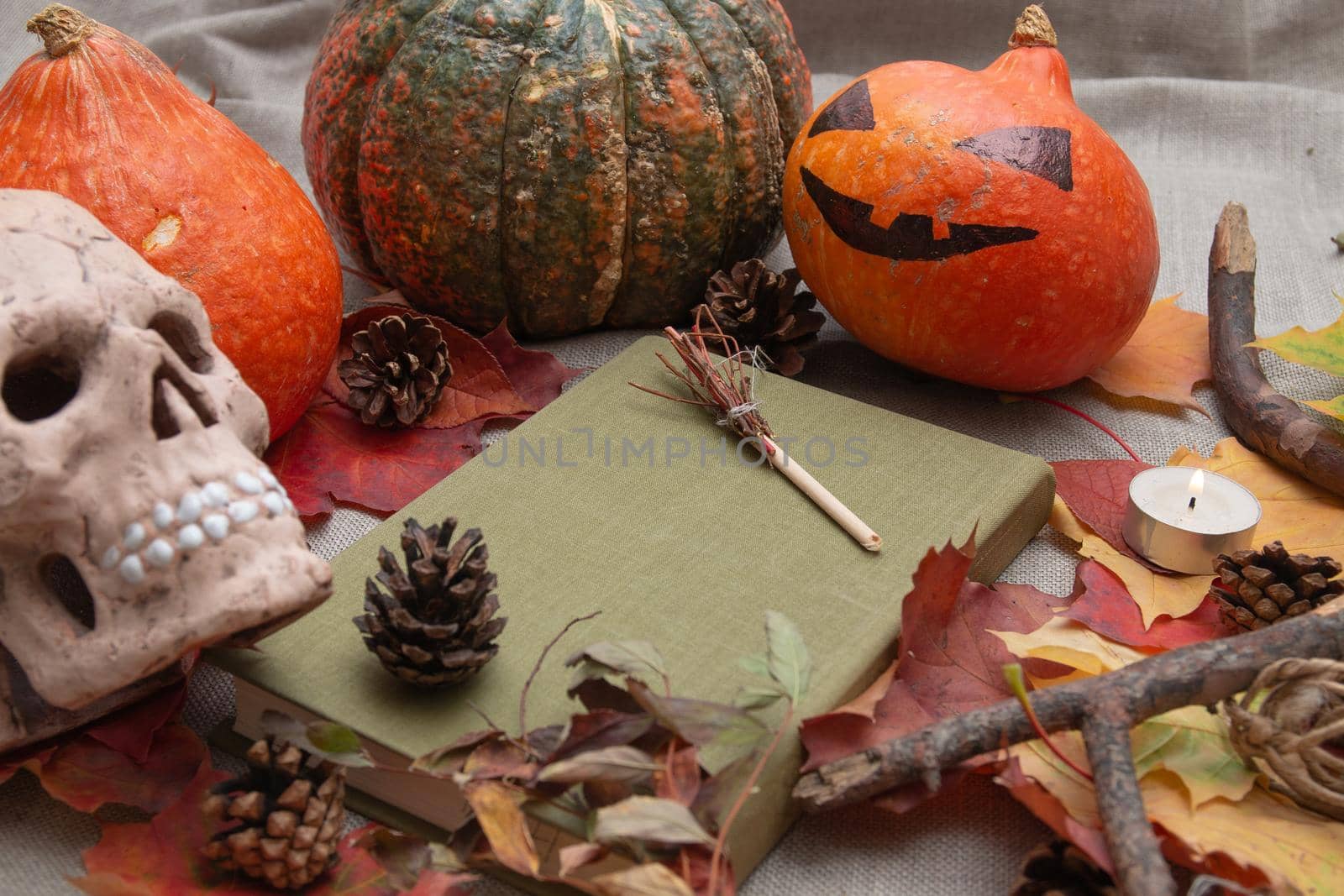 ceramic skull, cones, autumn leaves, decorative broom, candle and pumpkins, jack head, witch book, halloween background, copy space