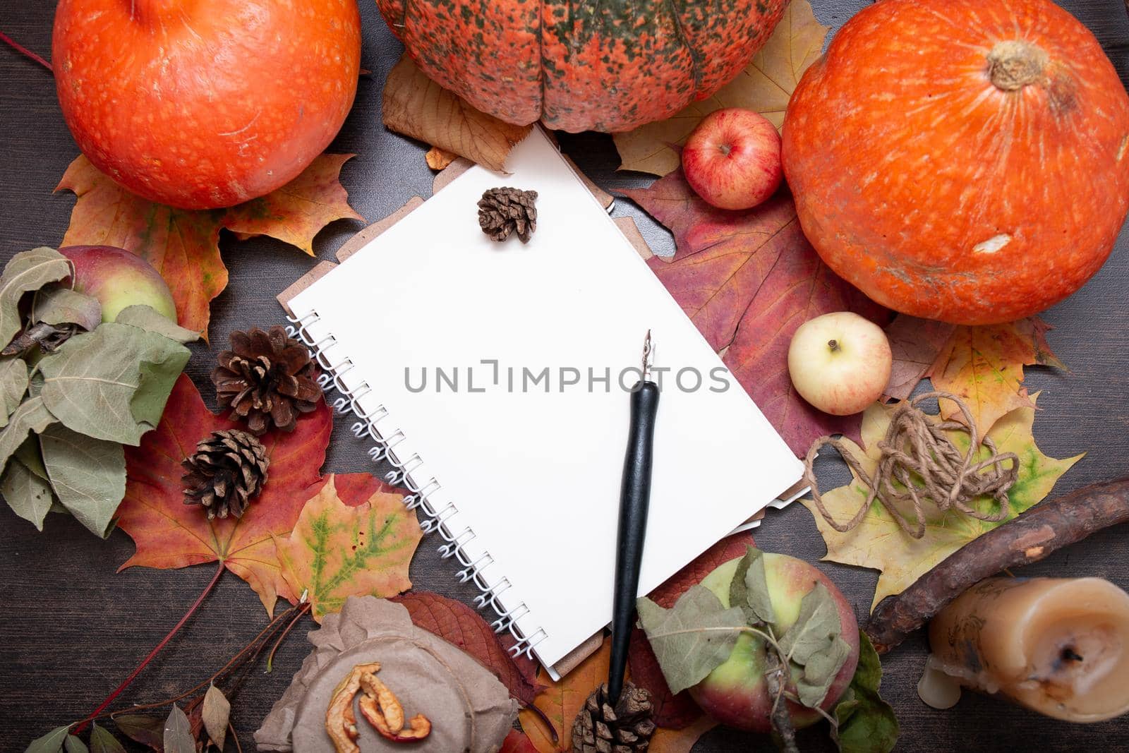 autumn fruits and vegetables on a dark background with notepad and fountain pen, copy space, theme of health and seasonal colds, auturm clors mood, top view