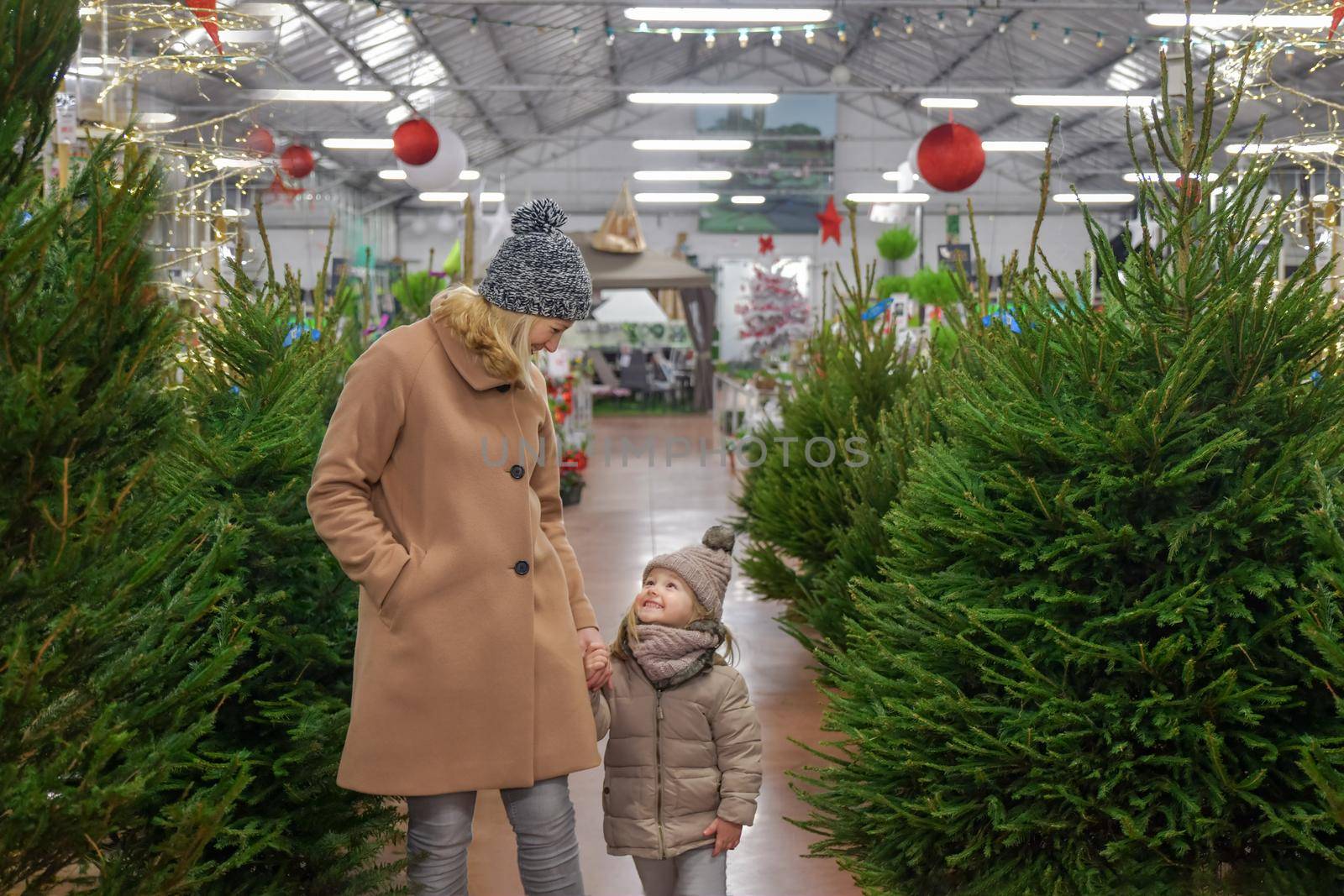 Mother and daughter choose a Christmas tree in the market.