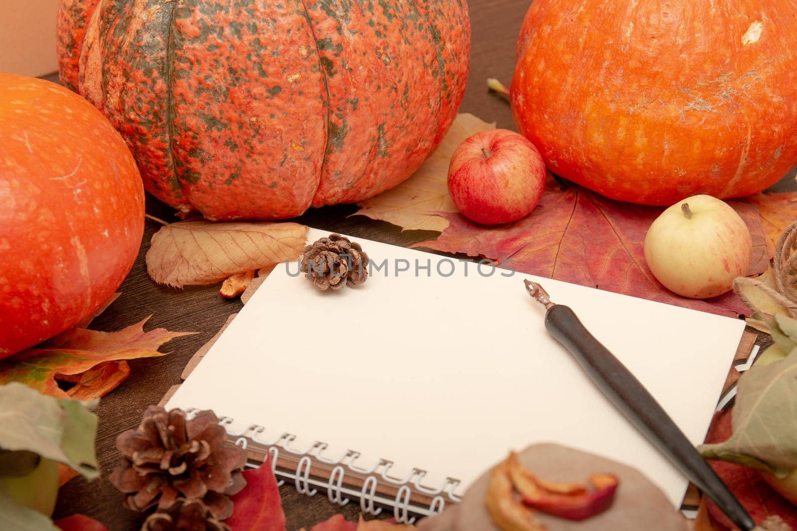 cozy still life of a jar of tea, autumn fruits and vegetables, dry apples, a branch, autumn leaves, a cold treatment in autumn, orange colors, a writing pad, copy space, autumn mood, halloween, blessing day, seasonal theme by natashko