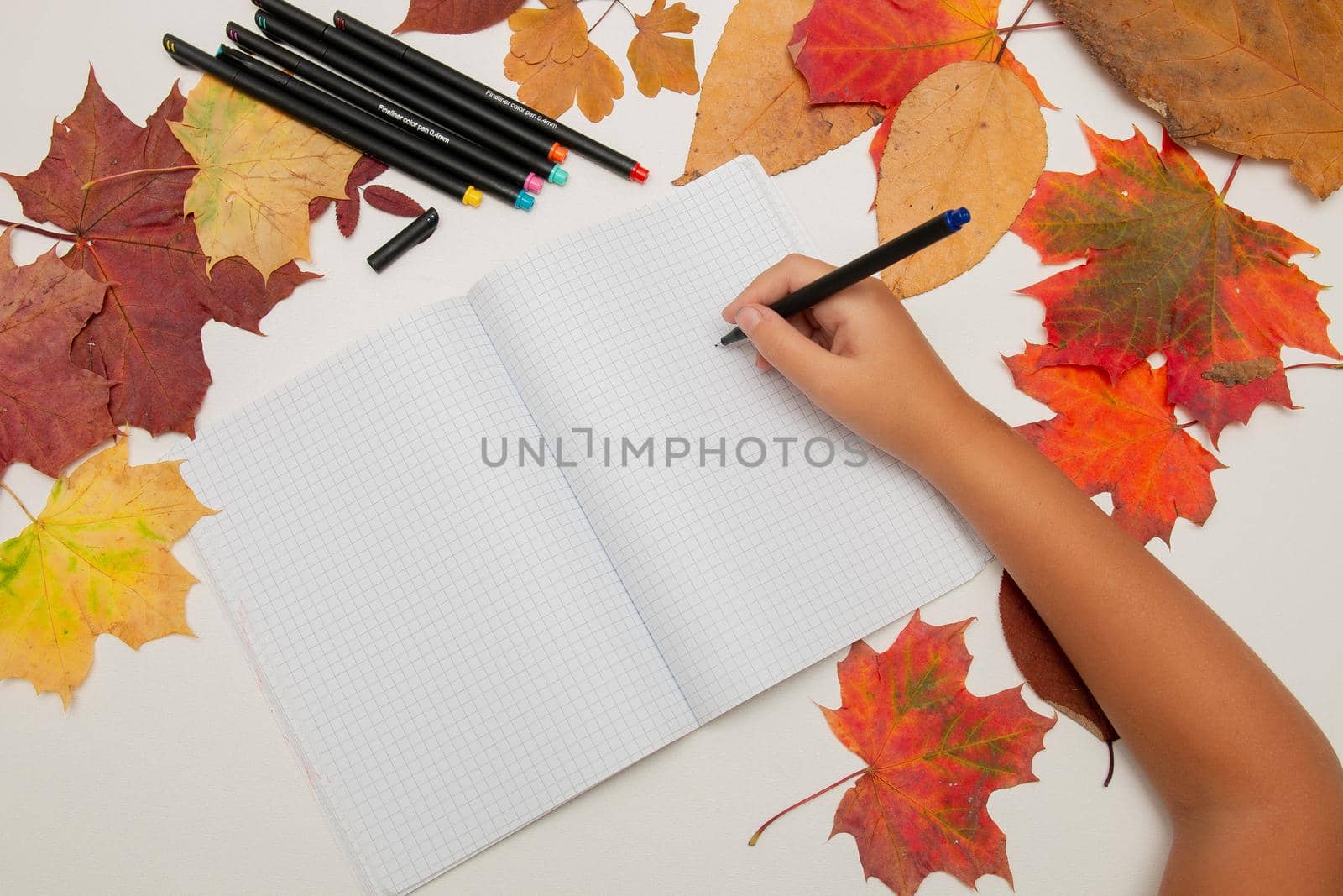 children's hand writes in a notebook on a white background, autumn leaves, back to school by natashko