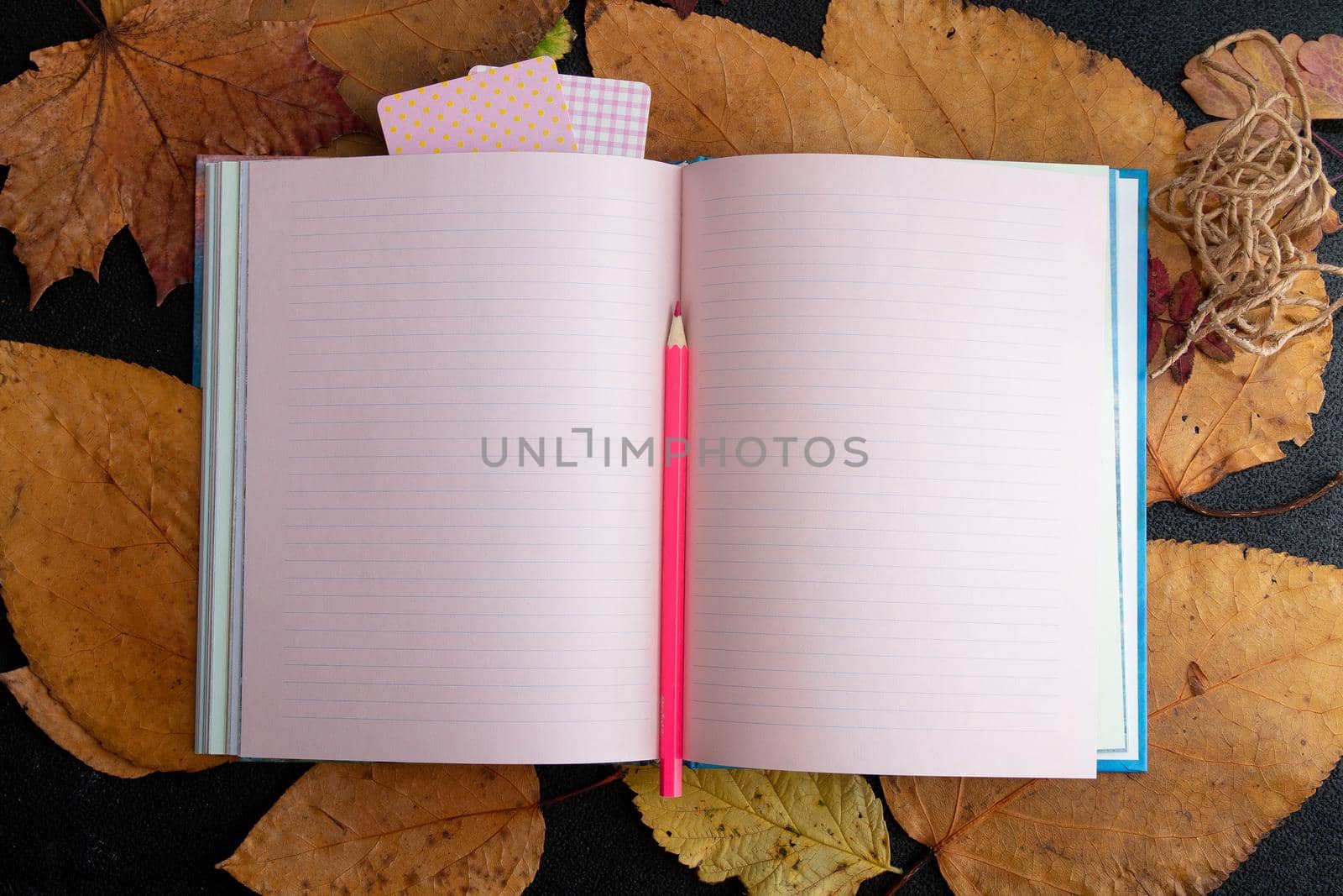 dry auturm leafs and pink colored pencil on a clean sheet of notepad rope sticker raisins holiday gift list writing in a notebook black background top view place copy dry auturm leafs